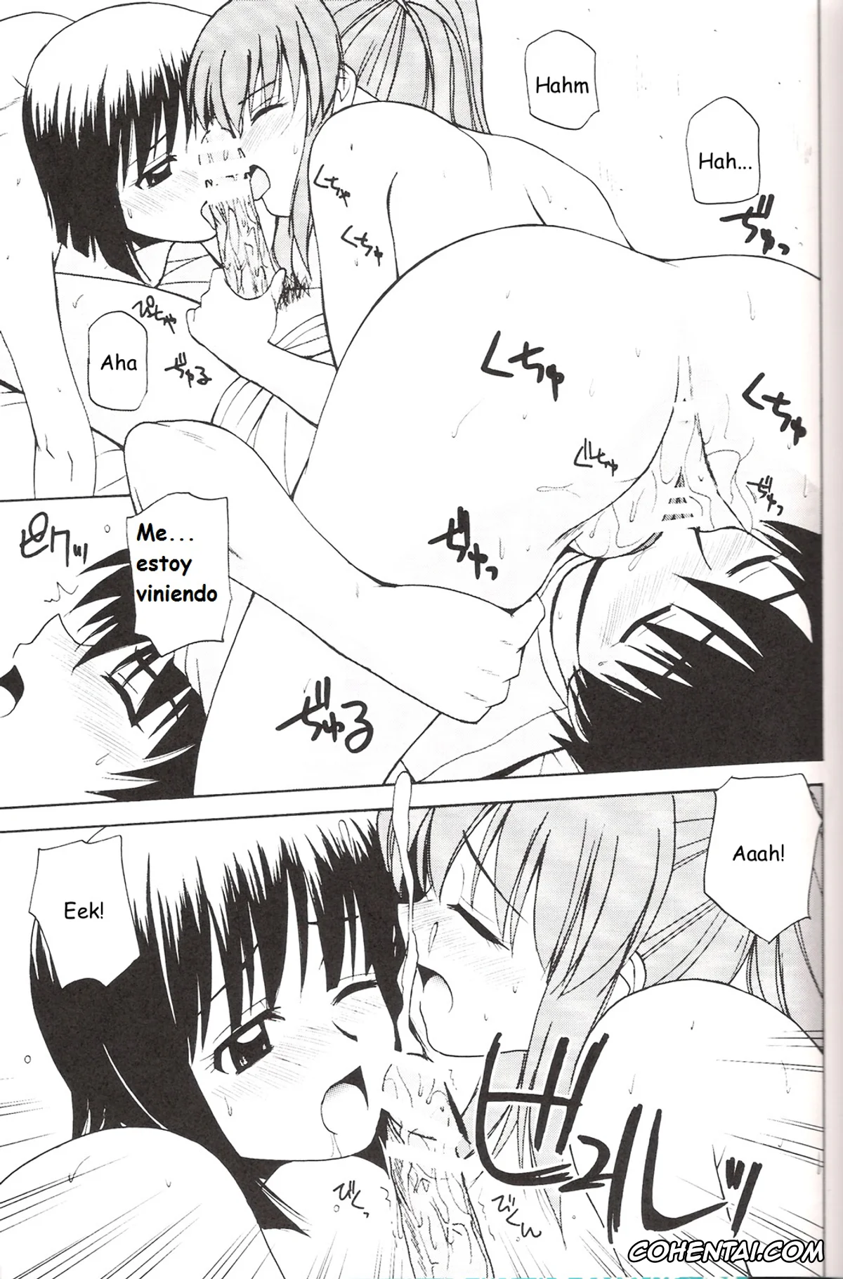 Zero No Tsukaima | The Familiar Of Zero xxx, Henrietta de Tristain xxx, Saito Hiraga xxx, Siesta xxx, Le beau maitre 3 (Zero no Tsukaima), pagina 16