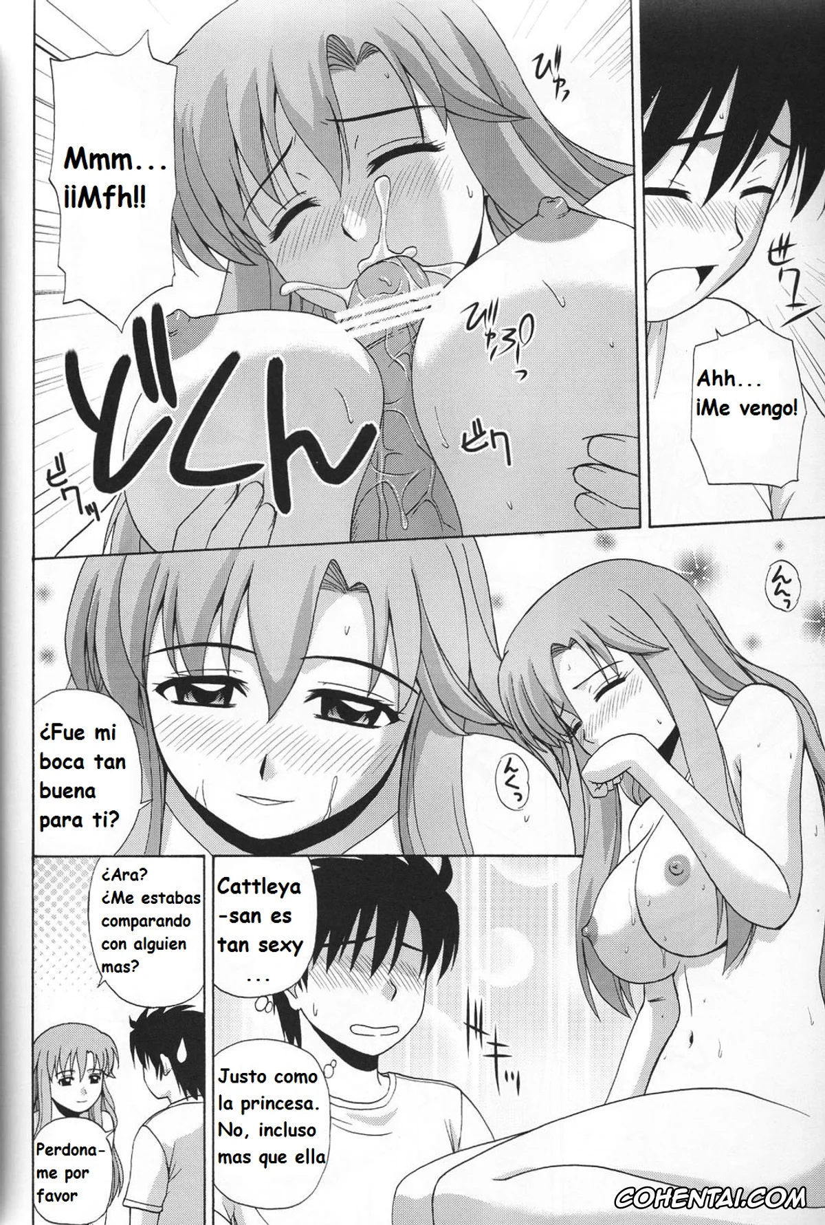 Zero No Tsukaima | The Familiar Of Zero hentai, Cattleya Yvette La Baume Le Blanc De La Fontaine hentai, Saito Hiraga hentai, Siesta hentai, Le beau maitre 6 (Zero no Tsukaima), pagina 21