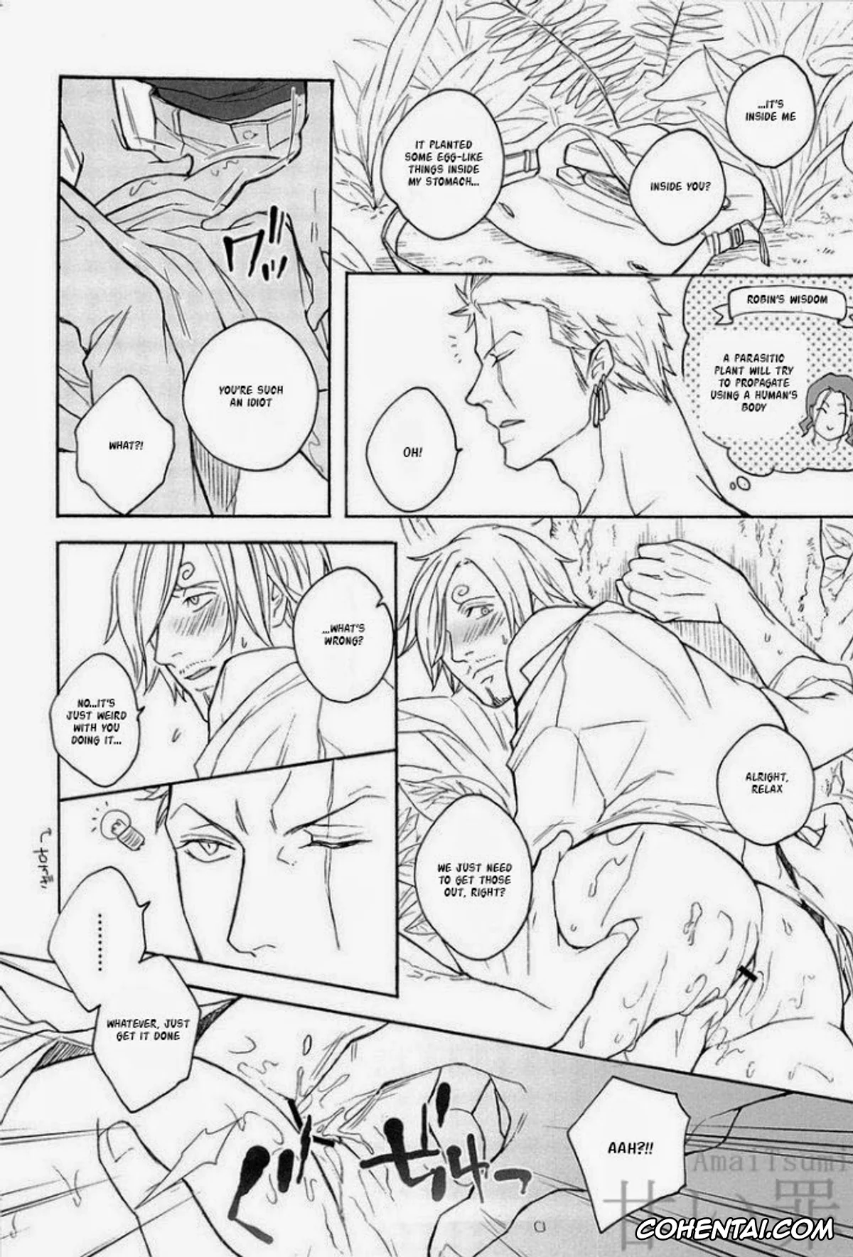 One Piece hentai, Roronoa Zoro hentai, Sanji Vinsmoke hentai, DISPLAY FLIGHT (One Piece), pagina 12