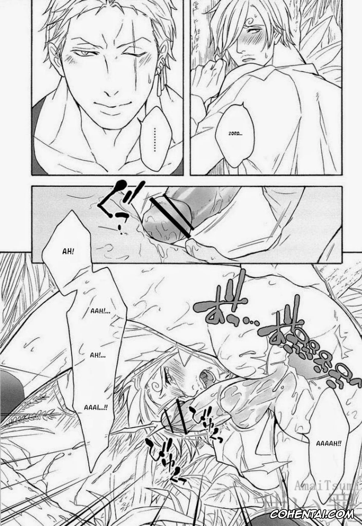 One Piece hentai, Roronoa Zoro hentai, Sanji Vinsmoke hentai, DISPLAY FLIGHT (One Piece), pagina 15