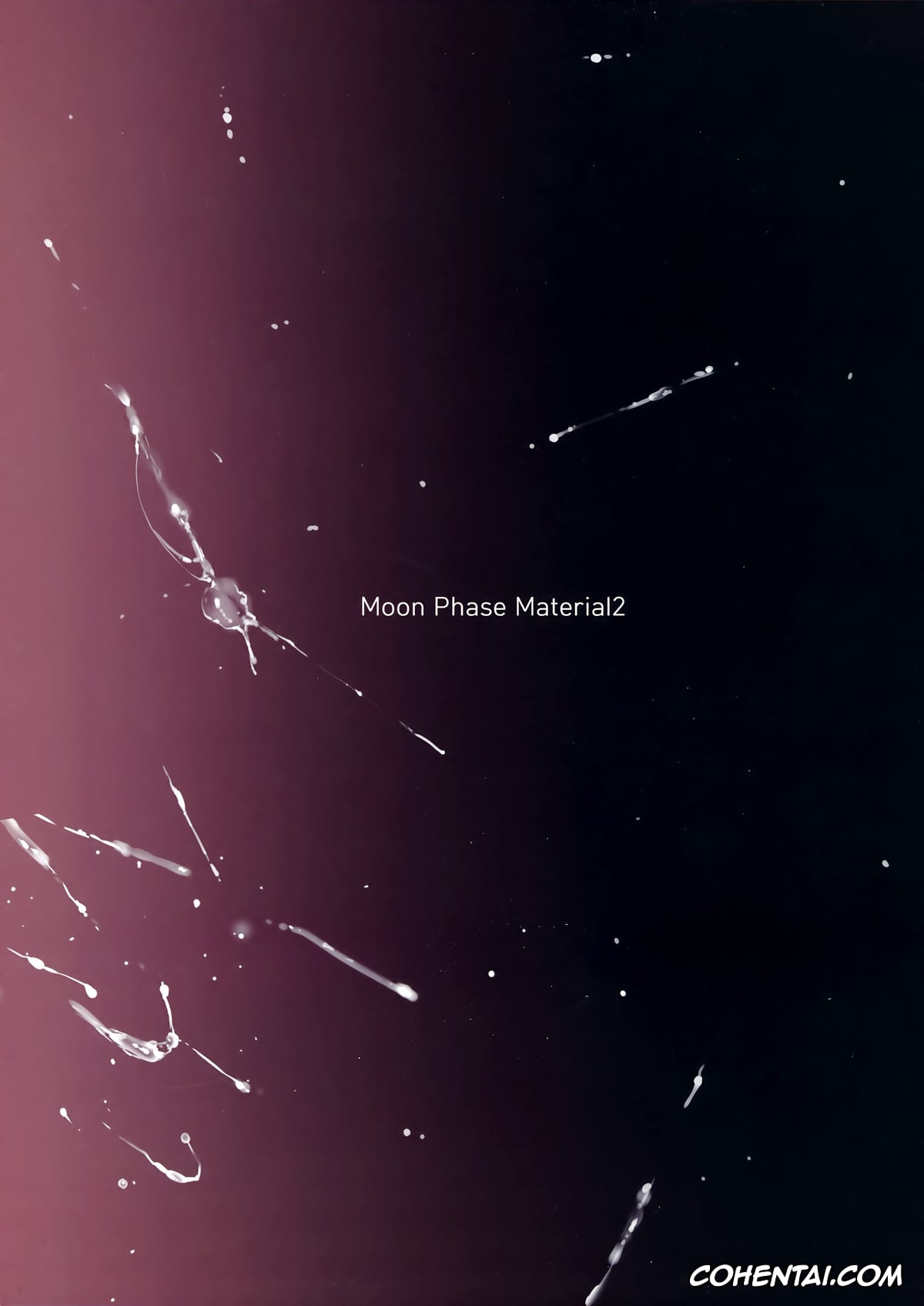 Fate/Grand Order porno, Elizabeth Bathory porno, Ishtar porno, Scathach porno, Moon Phase Material 2 (Fate/Grand Order), pagina 2