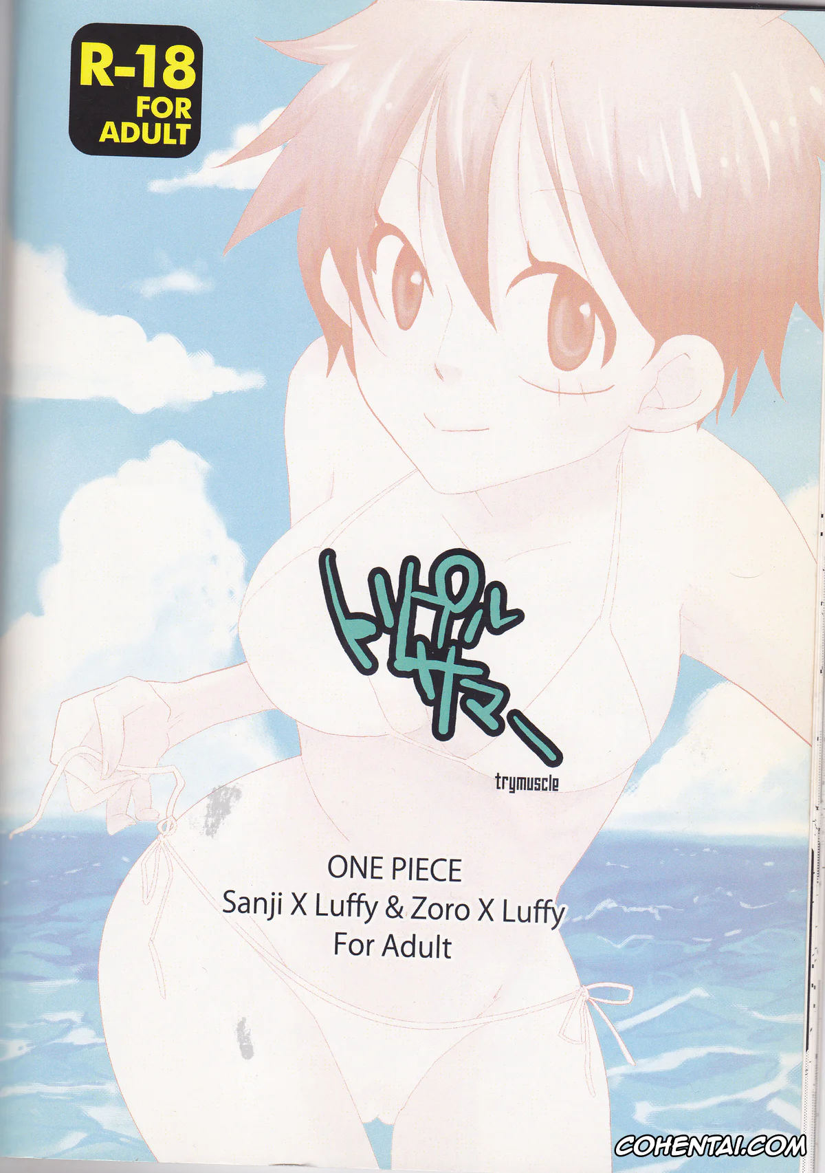 One Piece xxx, Monkey D. Luffy xxx, Roronoa Zoro xxx, Sanji Vinsmoke xxx, Triple Summer (One Piece), pagina 31