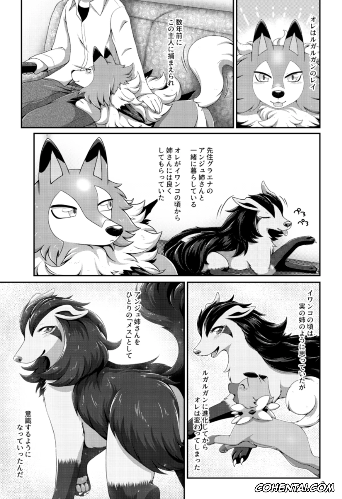 Pokemon | Pocket Monsters porno, Lycanroc porno, Lycanroc Midday Form porno, Mightyena porno, One-sided Love? (Pokémon), pagina 2