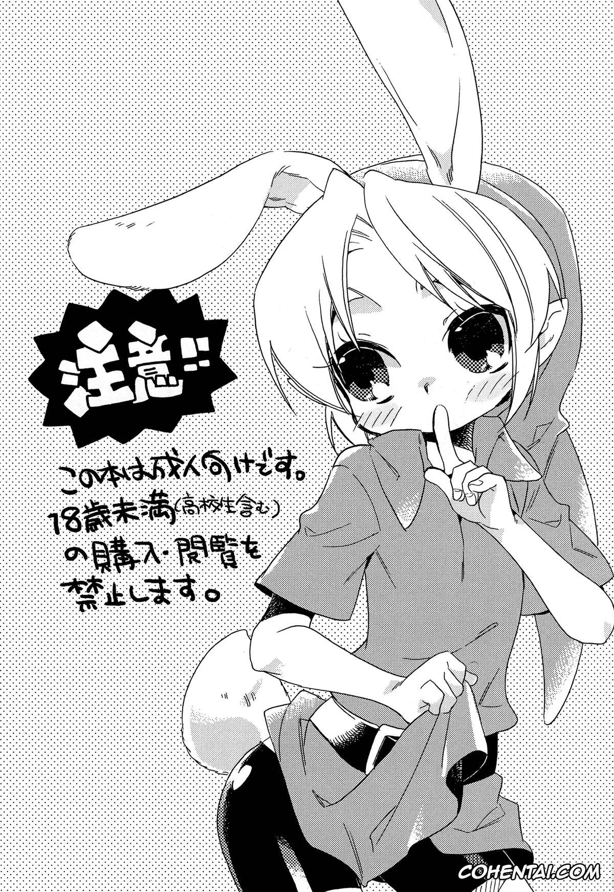 The Legend Of Zelda hentai, Link hentai, Himitsu No Naisho (The Legend of Zelda), pagina 3