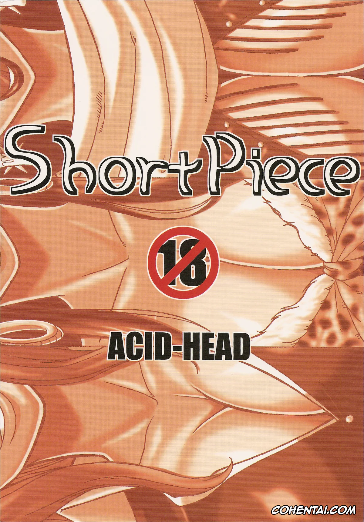 One Piece xxx, Hina xxx, Sadi-chan xxx, Short Piece (One Piece), pagina 22
