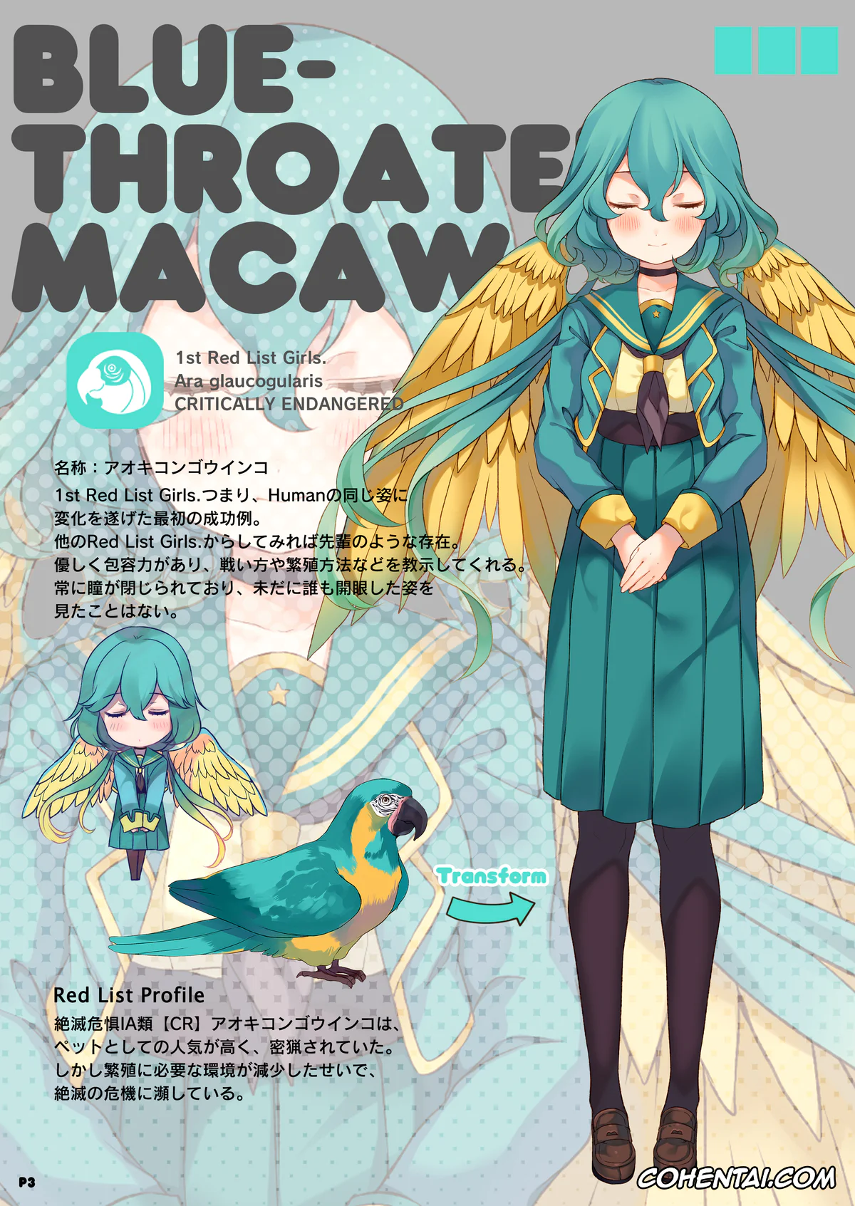 Original hentai, MACAW;EDUCATION, pagina 3