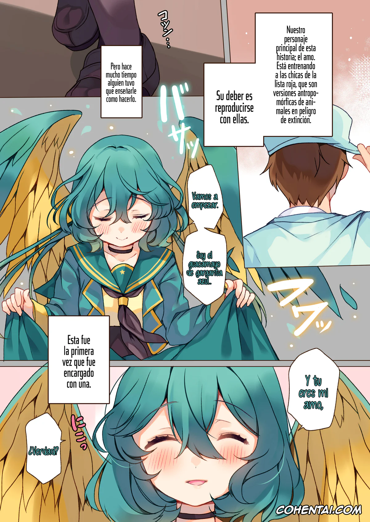 Original xxx, MACAW;EDUCATION, pagina 4