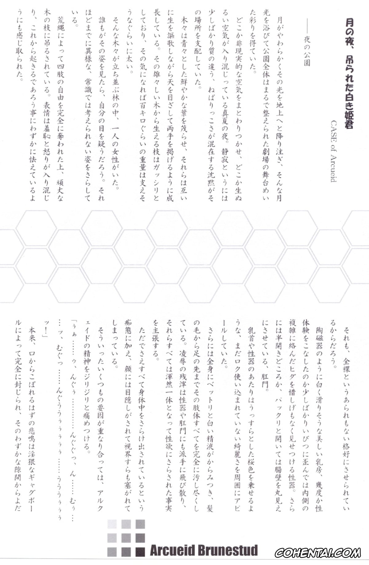 Tsukihime xxx, Arcueid Brunestud xxx, ERO Arc (Tsukihime, Melty Blood), pagina 25