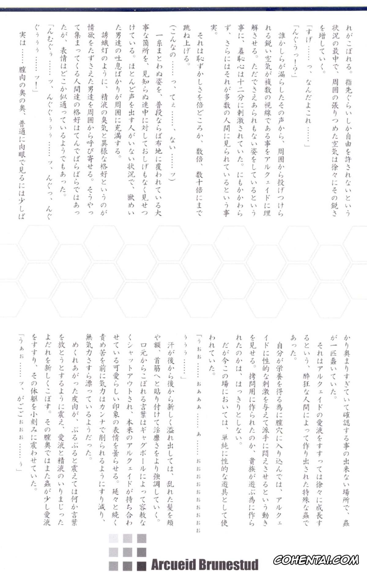 Tsukihime porno, Arcueid Brunestud porno, ERO Arc (Tsukihime, Melty Blood), pagina 26