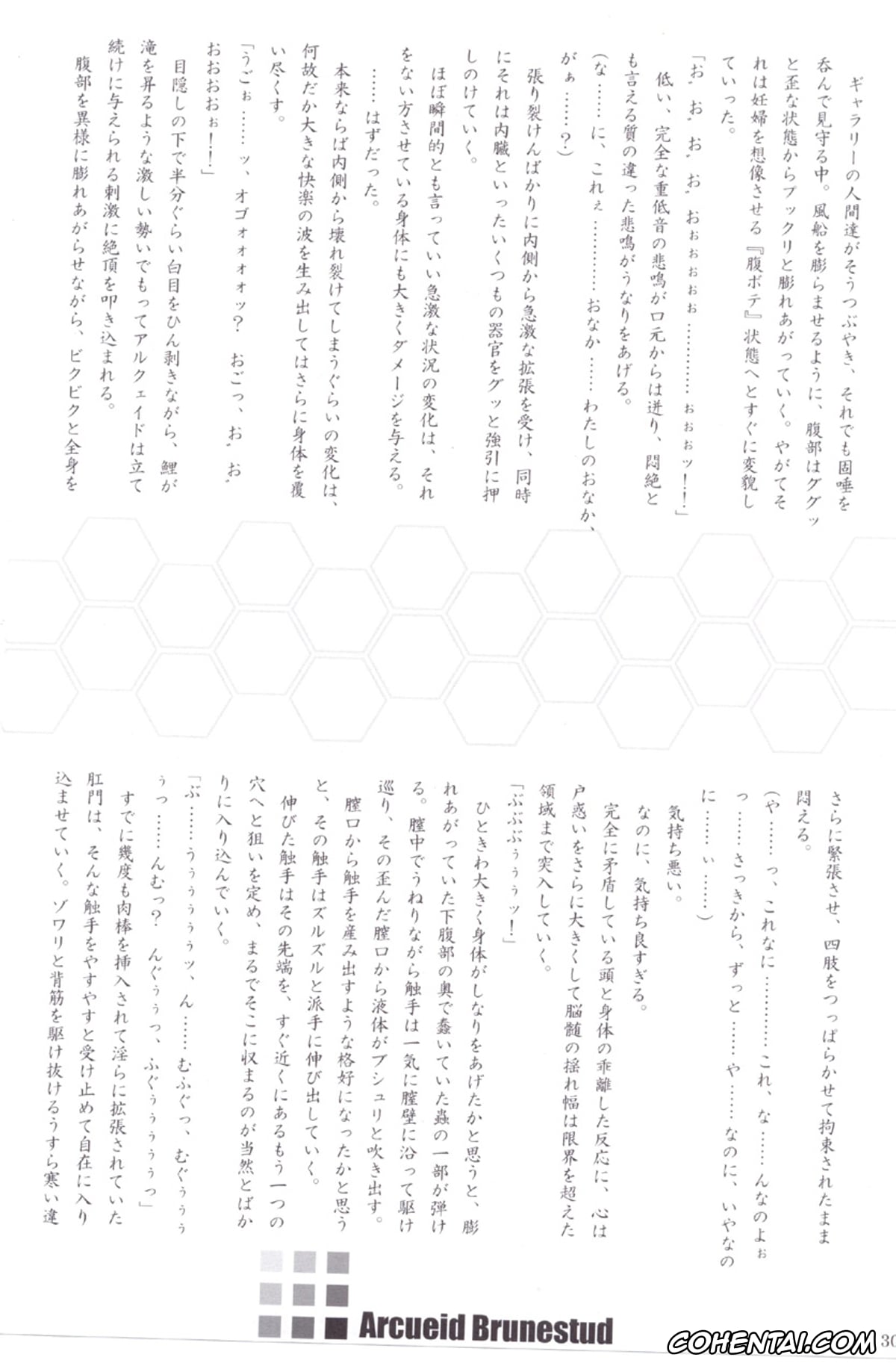 Tsukihime porno, Arcueid Brunestud porno, ERO Arc (Tsukihime, Melty Blood), pagina 29
