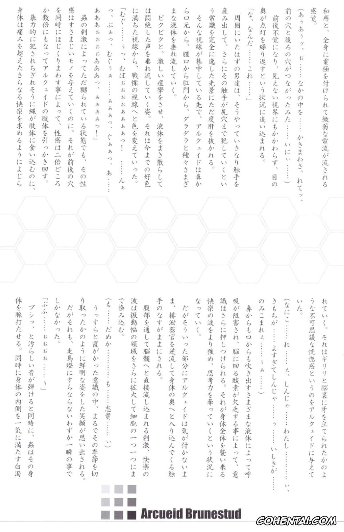 Tsukihime hentai, Arcueid Brunestud hentai, ERO Arc (Tsukihime, Melty Blood), pagina 30