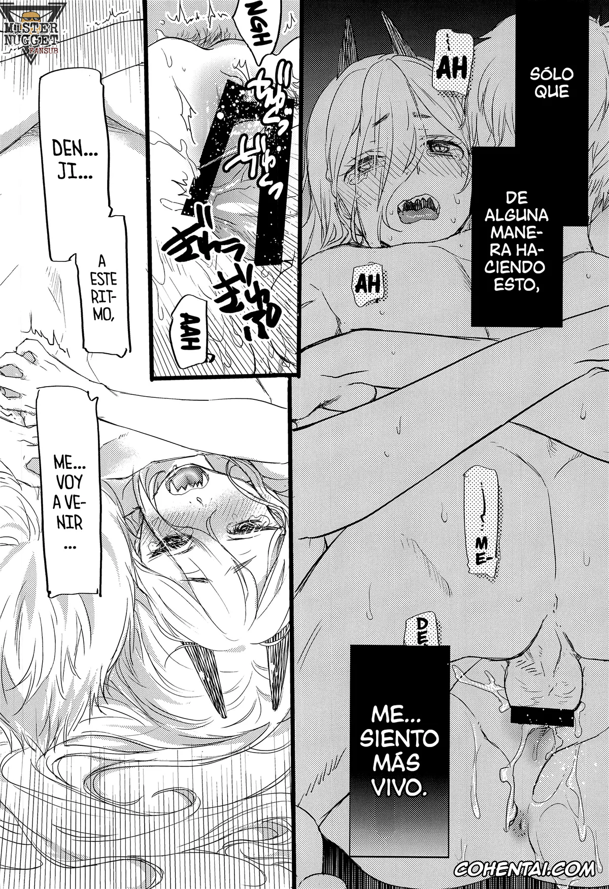 Chainsaw Man xxx, Denji xxx, Power xxx, Like a Cats (Chainsaw Man), pagina 13