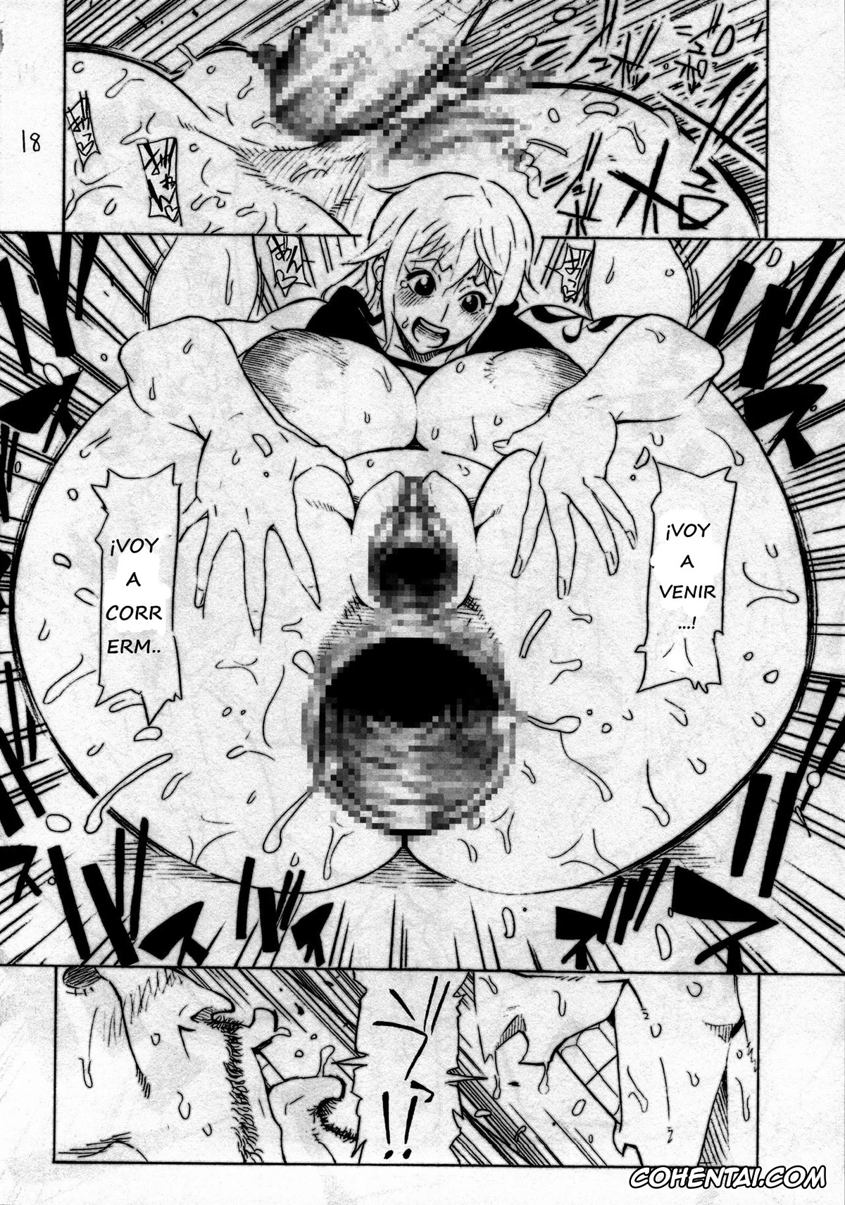 One Piece xxx, Nami xxx, P.O.M (One Piece), pagina 19