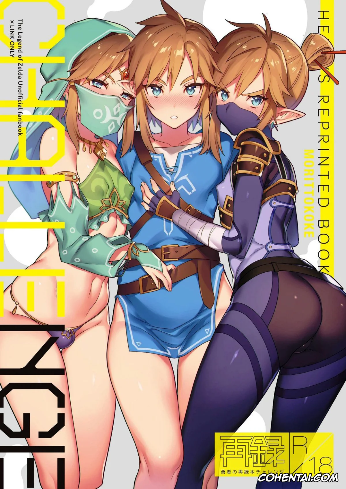 The Legend Of Zelda xxx, Link xxx, Yuusha no Sairokubon Challenge (The Legend of Zelda), pagina 1