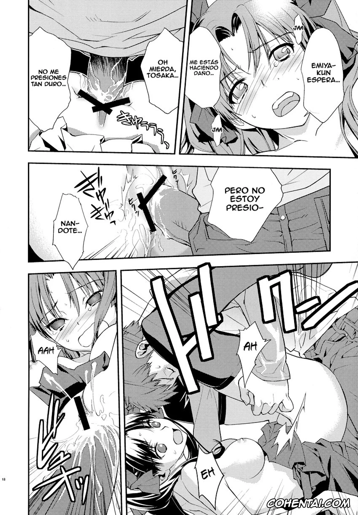 Fate/stay night xxx, Rin Tosaka xxx, Shirou Emiya xxx, Claim (Fate/stay night), pagina 19