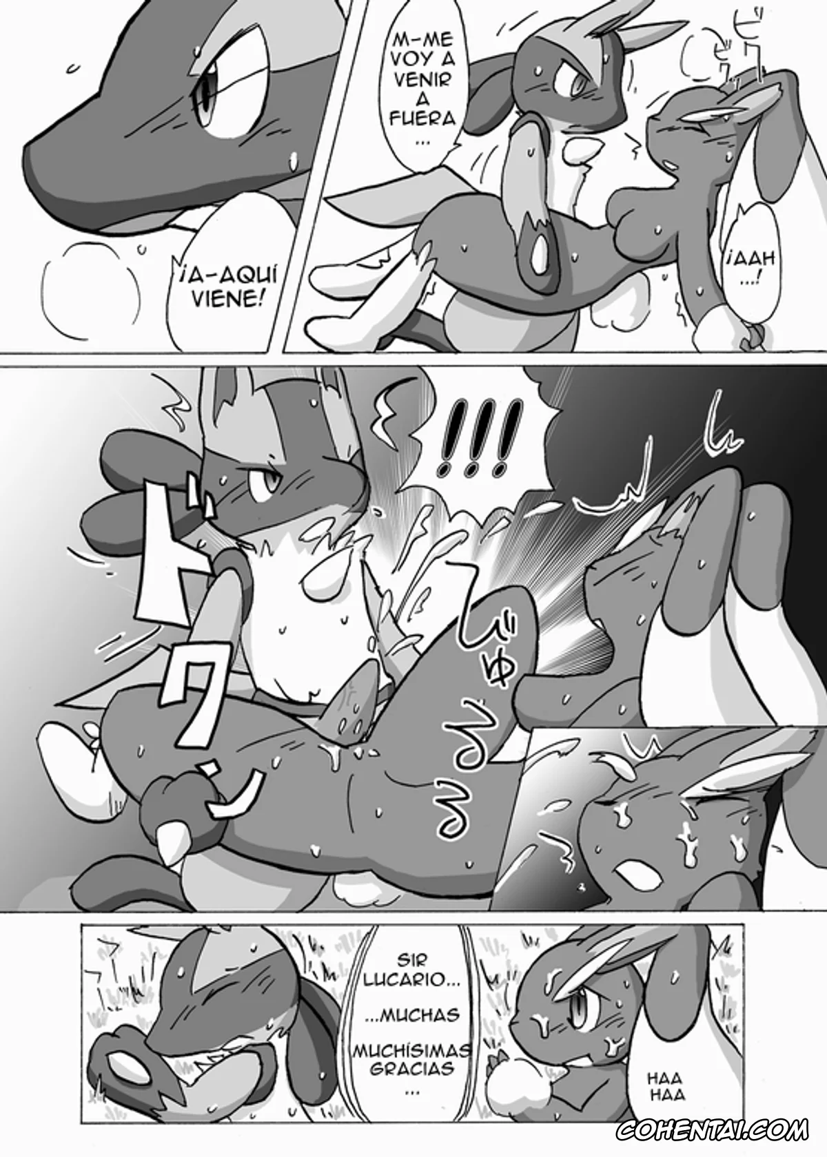 Pokemon | Pocket Monsters xxx, Lopunny xxx, Lucario xxx, Lucario X Lopunny (Pokémon), pagina 13
