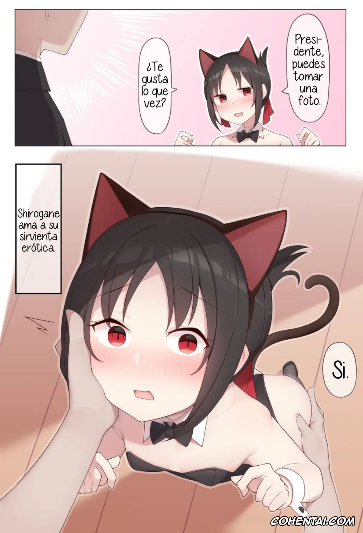 Kaguya-Sama Wa Kokurasetai | Kaguya-Sama Love Is War xxx, Kaguya Shinomiya xxx, Miyuki Shirogane xxx, Nekomimi no Kaguya-sama (Kaguya-sama wa Kokurasetai), pagina 1
