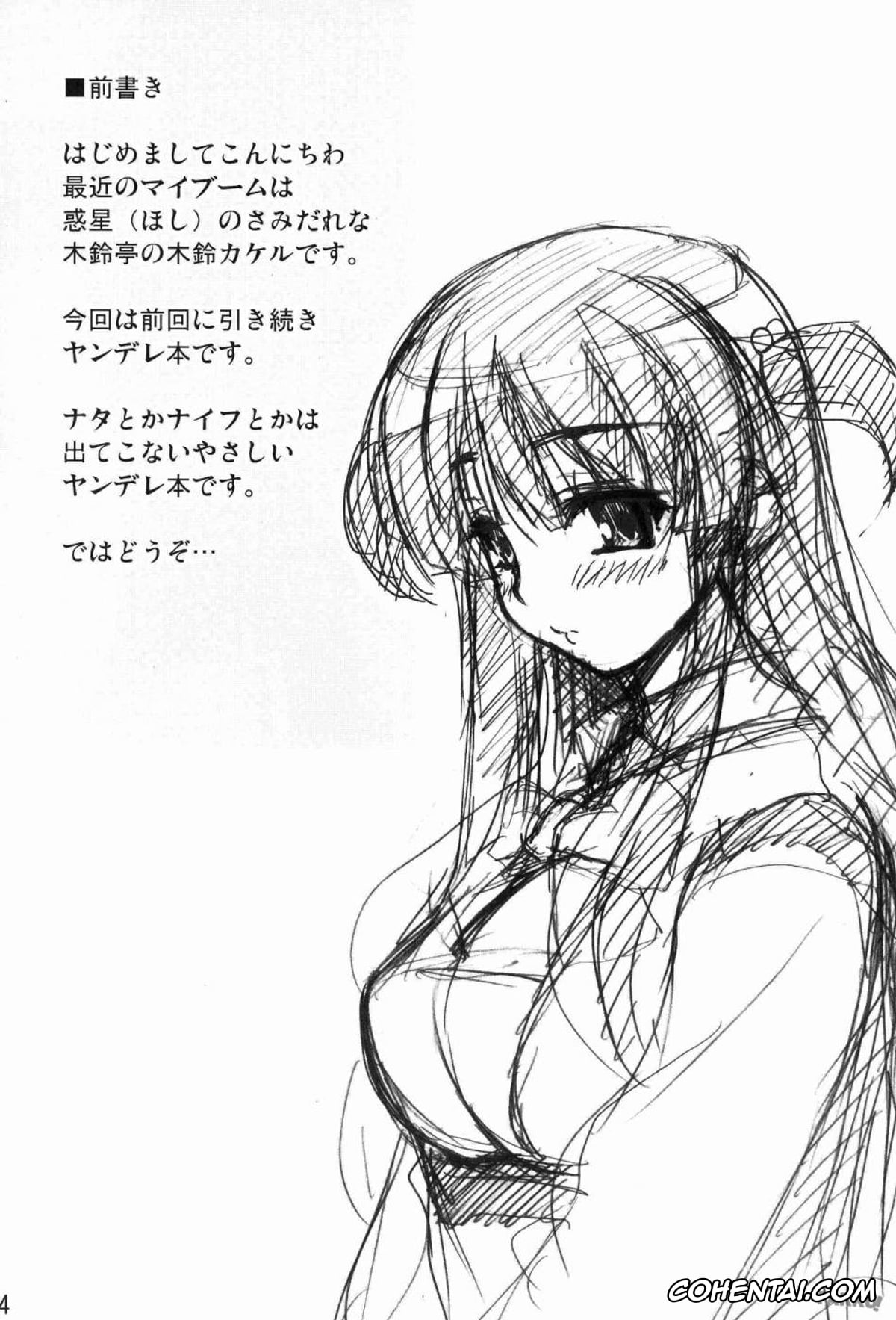 Original hentai, Tsukasa Blog, pagina 3