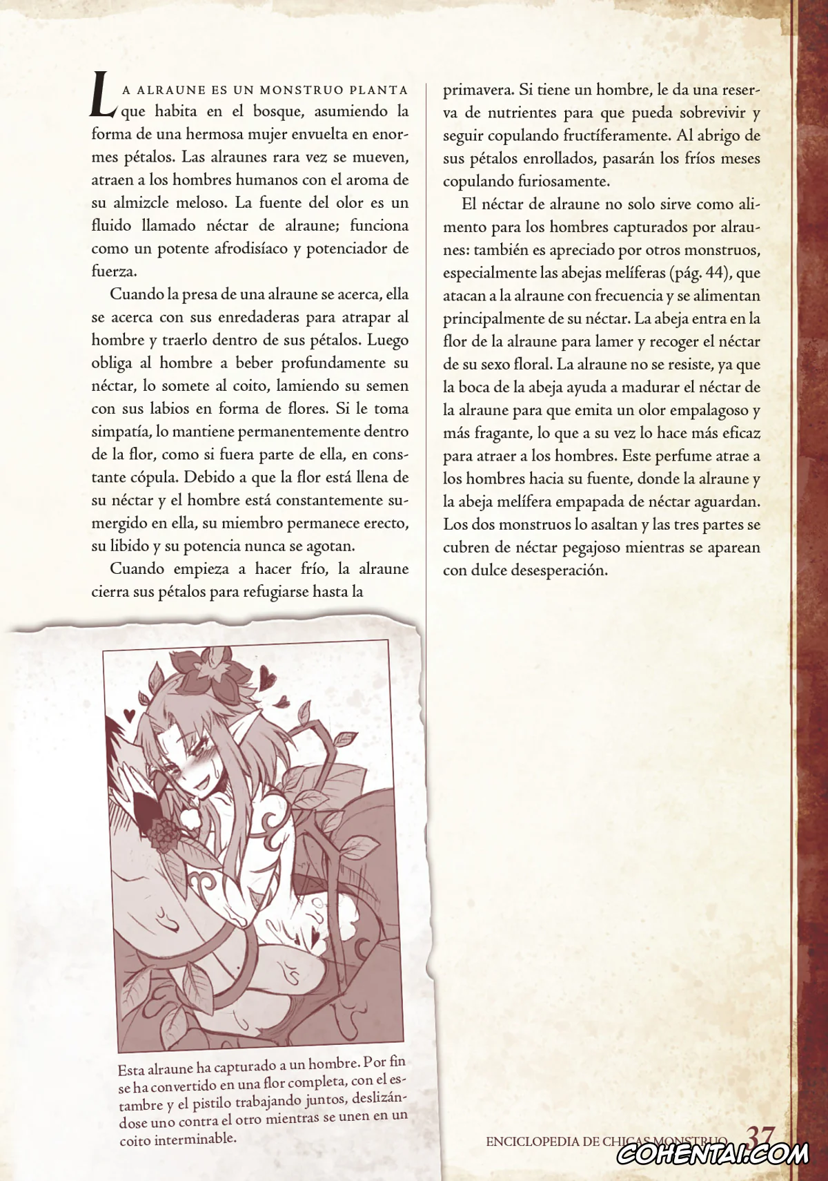 Mamono Musume Zukan | Monster Girl Encyclopedia porno, Monster Girl Encyclopedia Vol. 1 | Enciclopedia de Chicas Monstruo, pagina 38