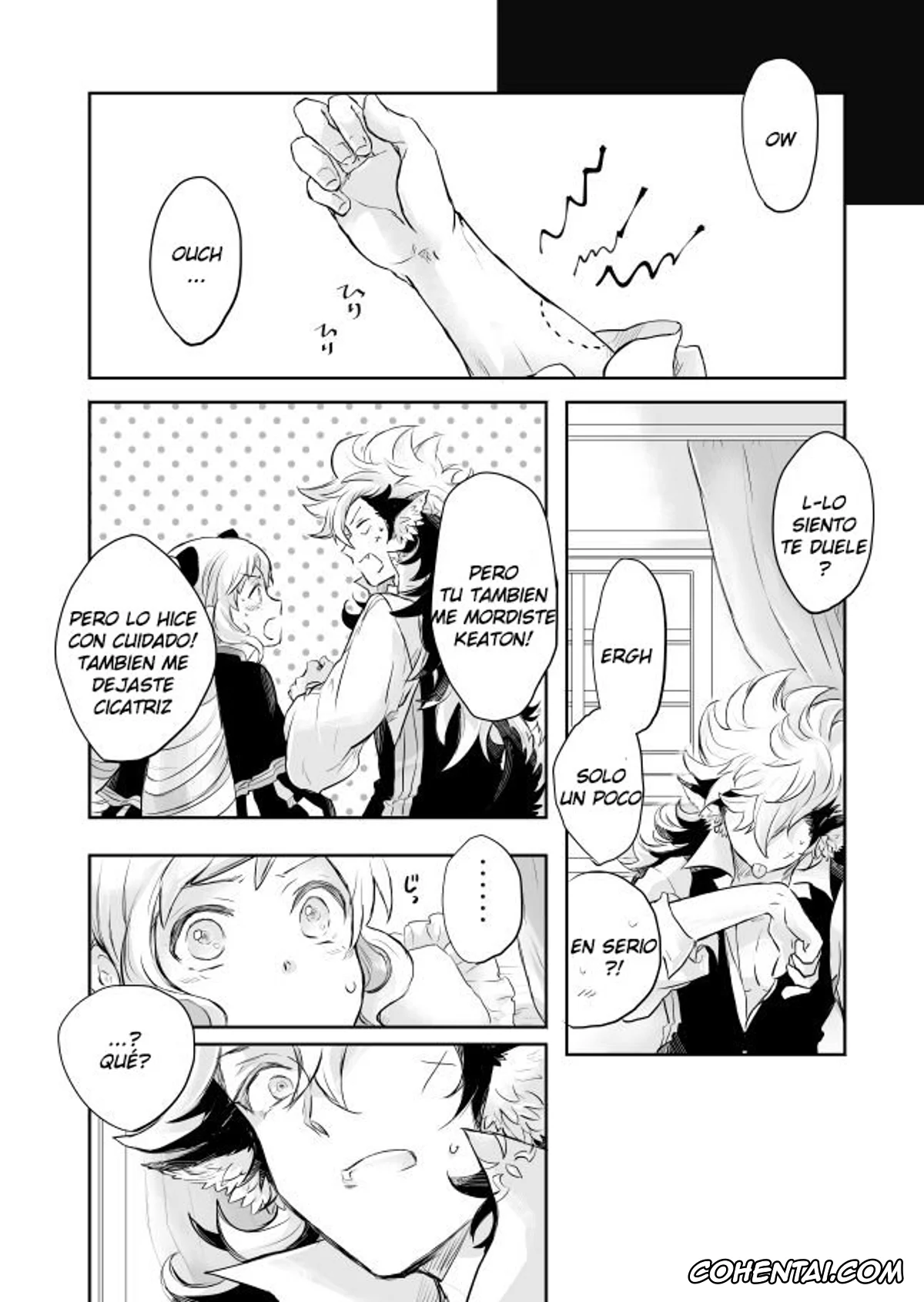 Fire Emblem Fates | Fire Emblem If porno, Elise porno, Flannel | Keaton porno, Flannel x Elise no Ero Manga (Fire Emblem if), pagina 17