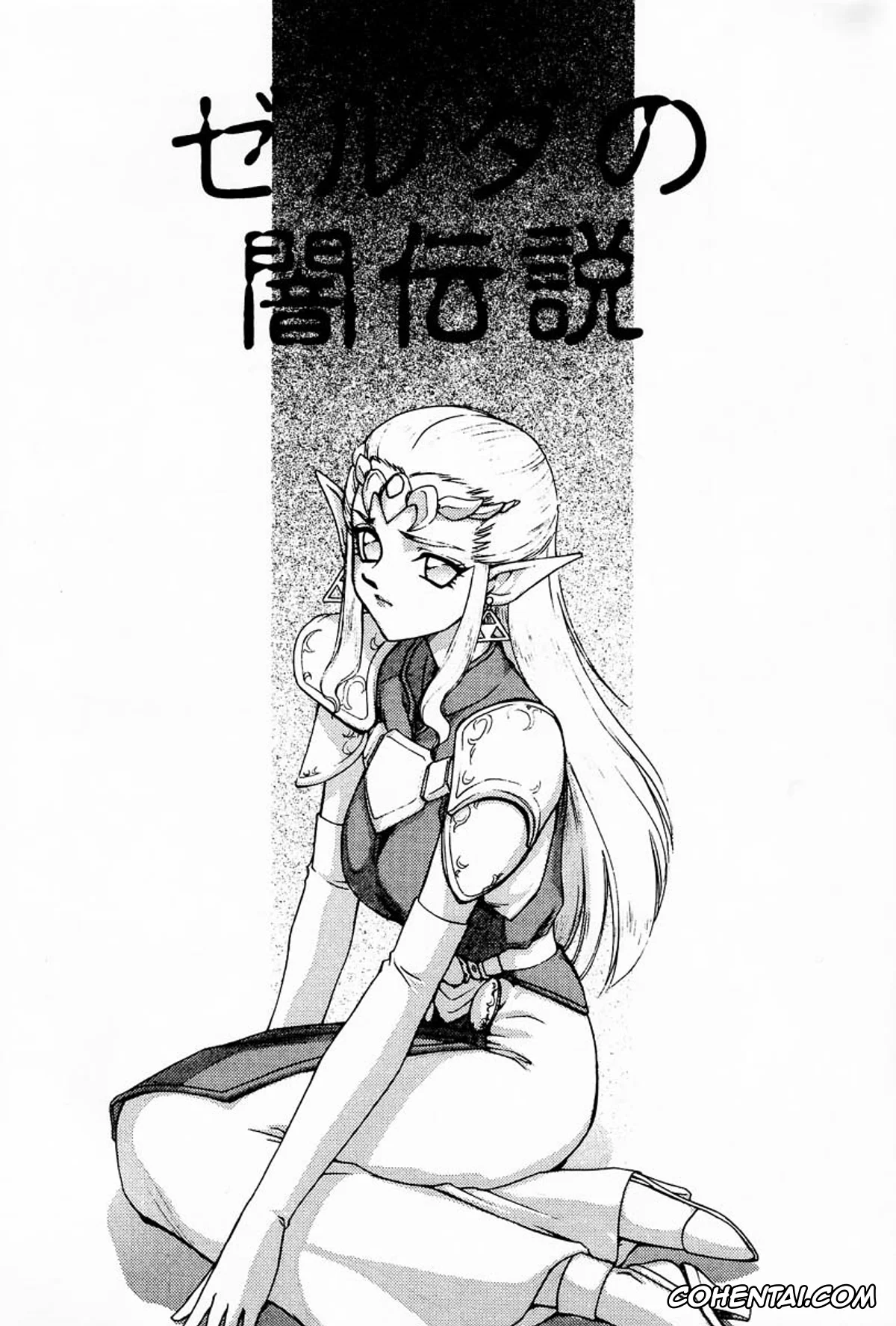 The Legend Of Zelda porno, Princess Zelda porno, NISE Zelda no Densetsu Prologue (The Legend of Zelda), pagina 8