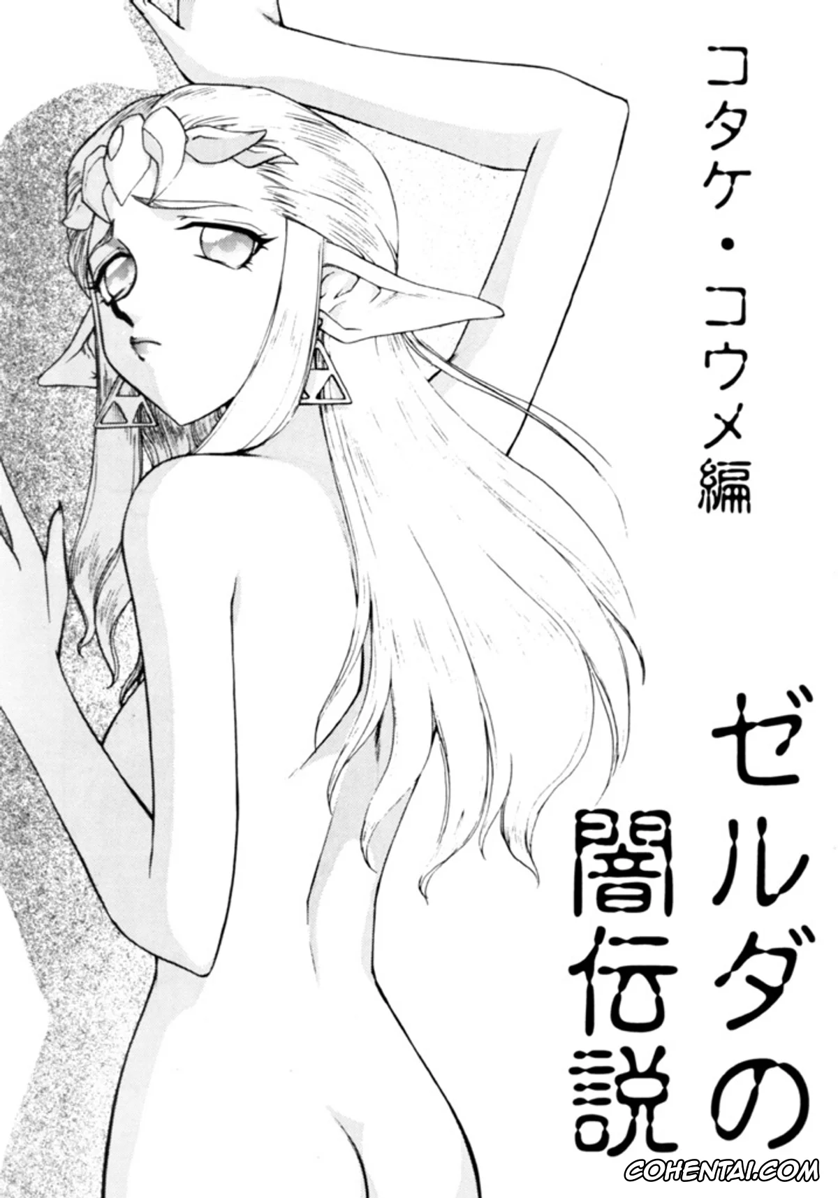 The Legend Of Zelda hentai, Link hentai, Princess Zelda hentai, NISE Zelda no Densetsu Shinshou (The Legend Of Zelda), pagina 6