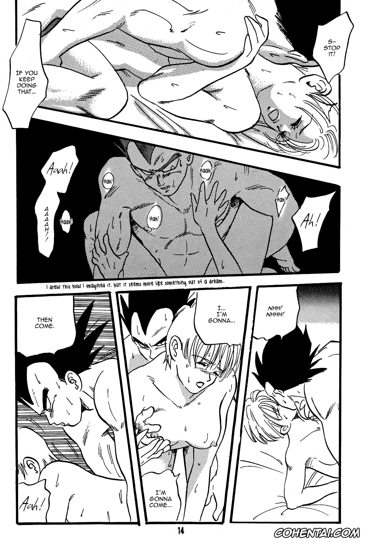 Dragon Ball hentai, Dragon Ball Z hentai, Bulma Briefs hentai, Vegeta hentai, E Flame (Dragon Ball Z), pagina 15