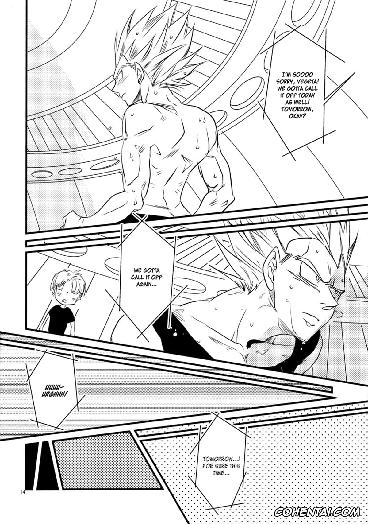 Dragon Ball porno, Dragon Ball Z porno, Bulma Briefs porno, Vegeta porno, Let’s hope for a sunny day. (Dragon Ball Z), pagina 14