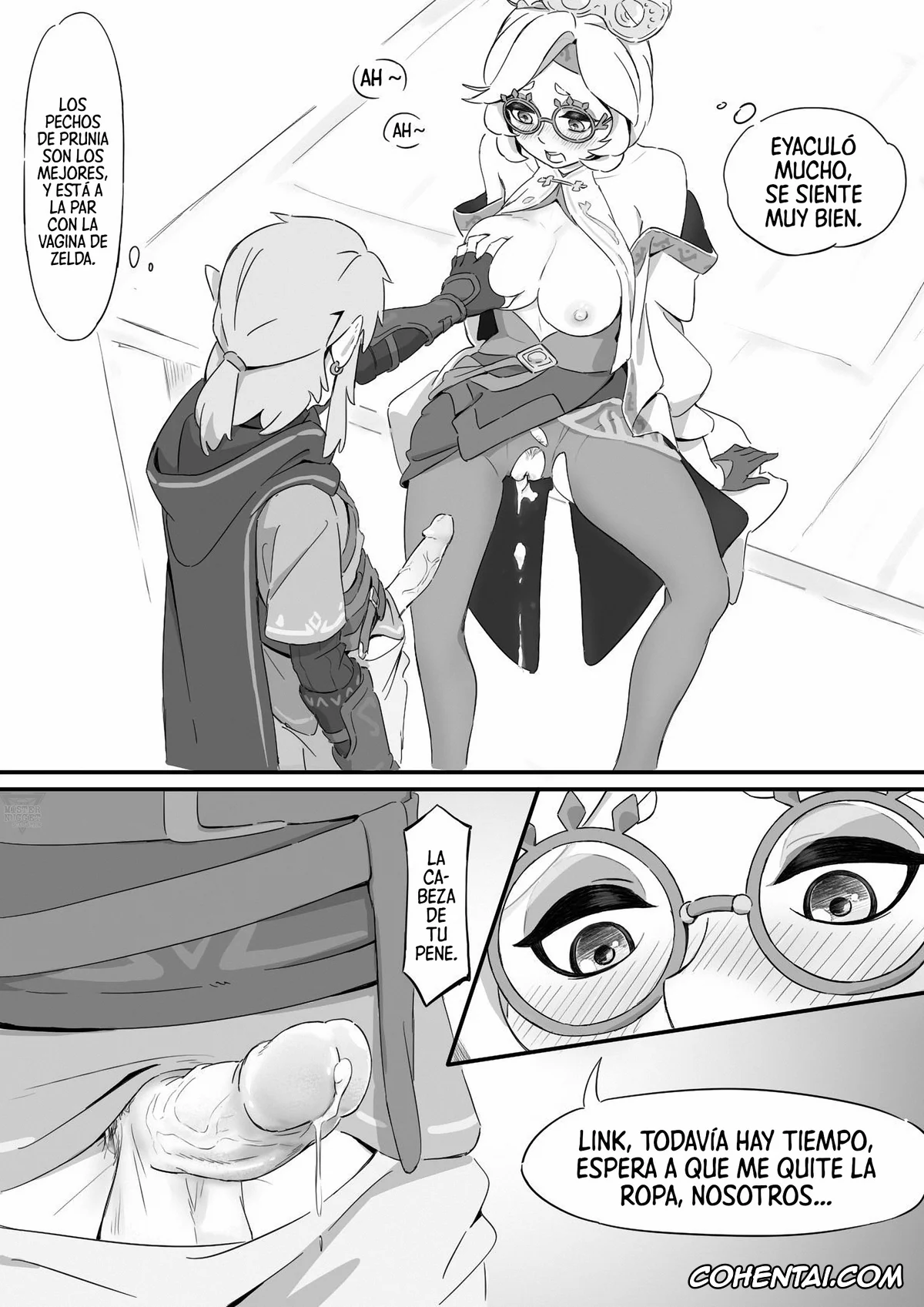The Legend Of Zelda xxx, Link xxx, Purah xxx, Purua no nayami (The legend of zelda), pagina 13