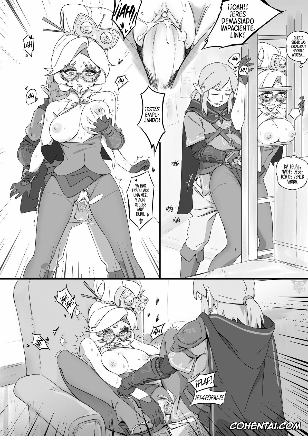 The Legend Of Zelda porno, Link porno, Purah porno, Purua no nayami (The legend of zelda), pagina 14