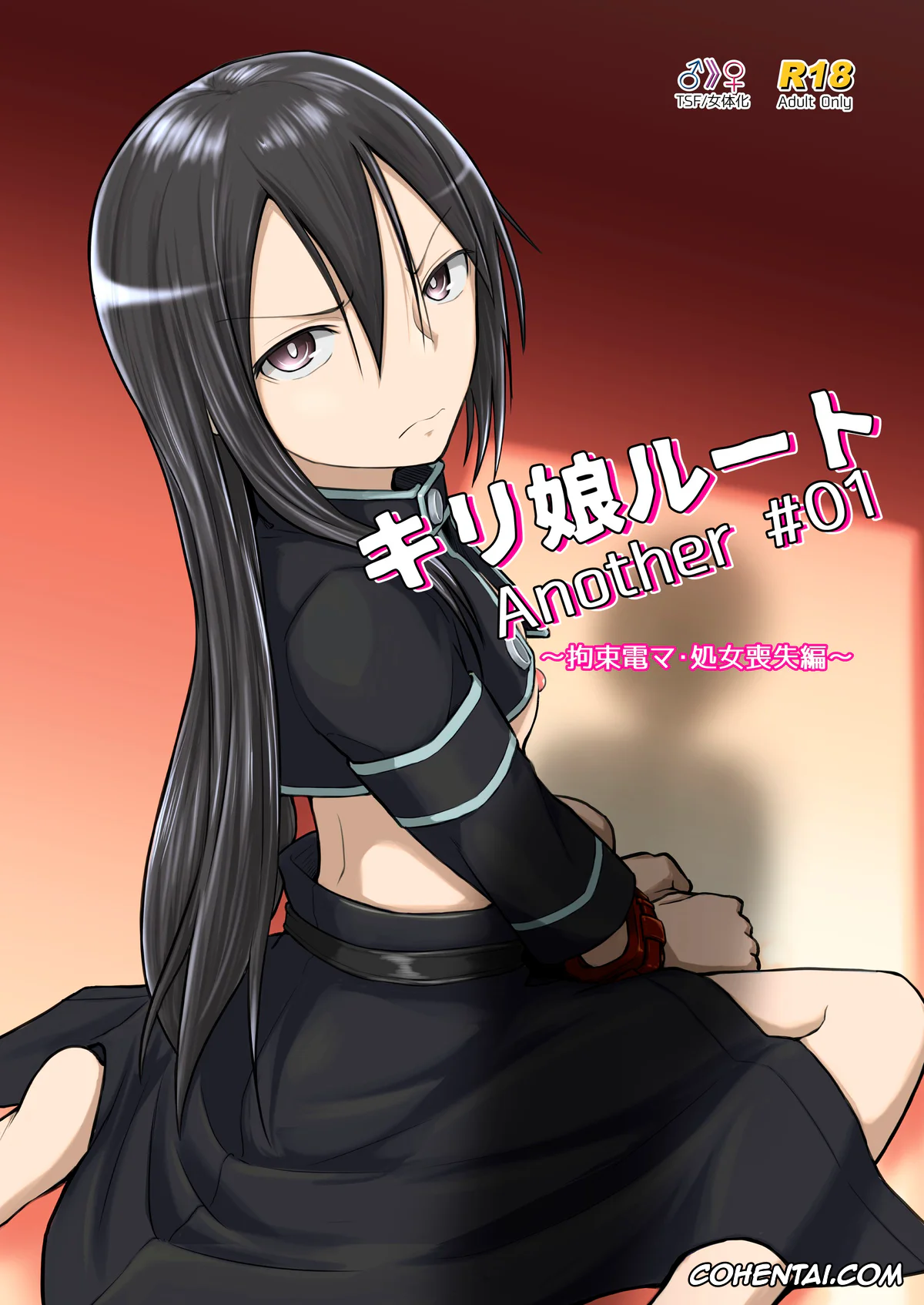 Sword Art Online xxx, Kazuto Kirigaya | Kirito xxx, Kiriko Route Another #01 ~Kousoku Denma Shojo Soushitsu Hen~ (Sword Art Online), pagina 1