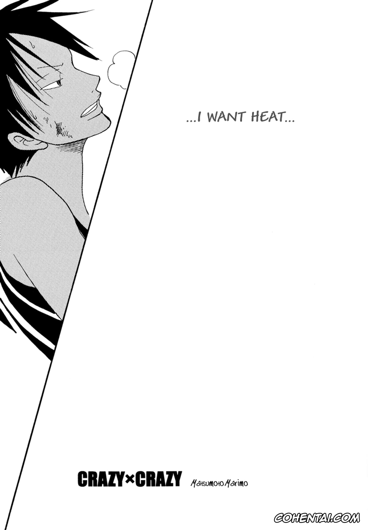One Piece xxx, Monkey D. Luffy xxx, Roronoa Zoro xxx, CRAZY X CRAZY (One Piece), pagina 10