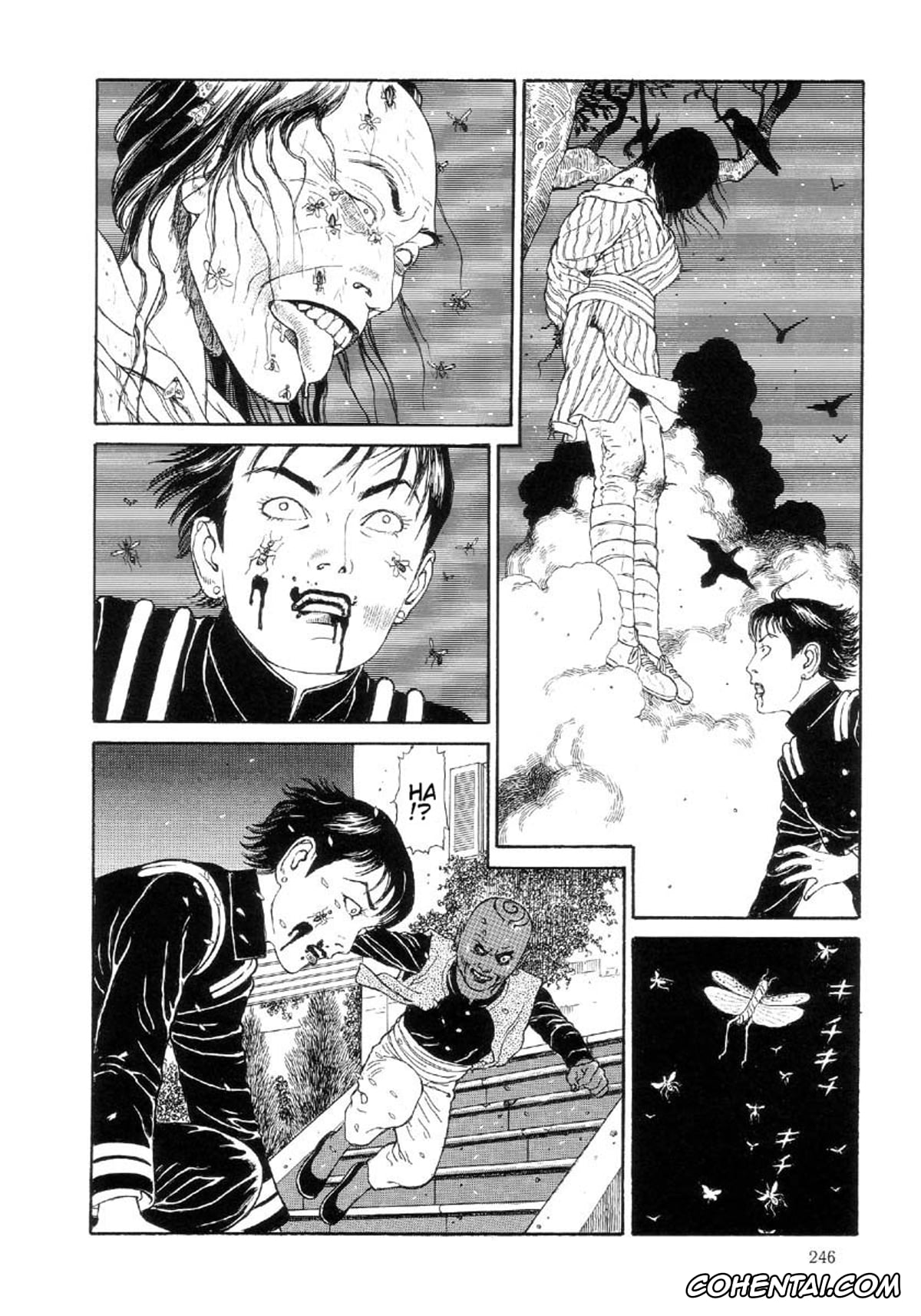 Manga xxx, Tankoubon xxx, Paradise – Warau Kyuuketsuki 2, pagina 247