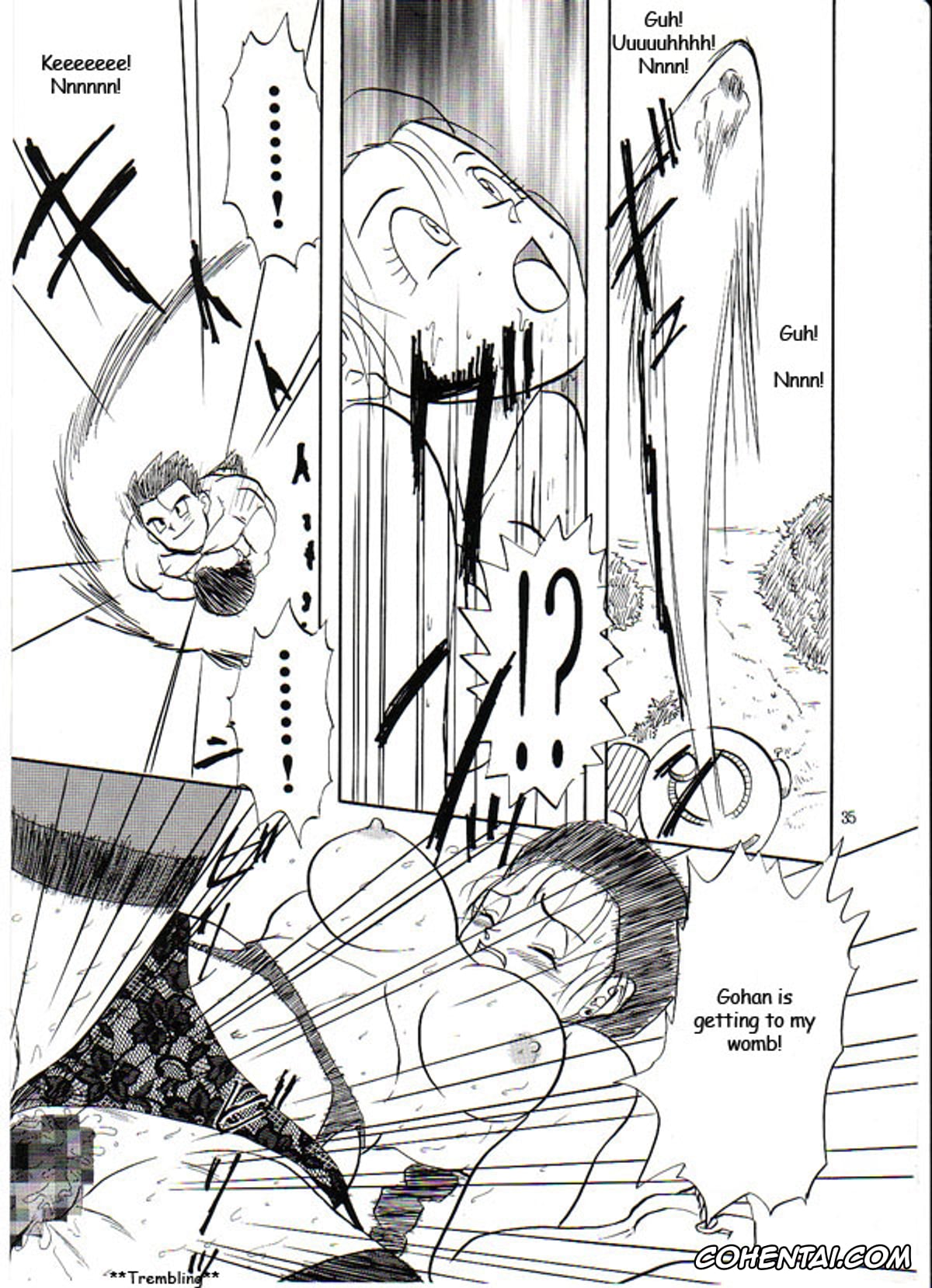 Dragon Ball Gt xxx, Pan xxx, Son Gohan xxx, Trunks Briefs xxx, Videl xxx, HoHeTo (Dragon Ball GT), pagina 34
