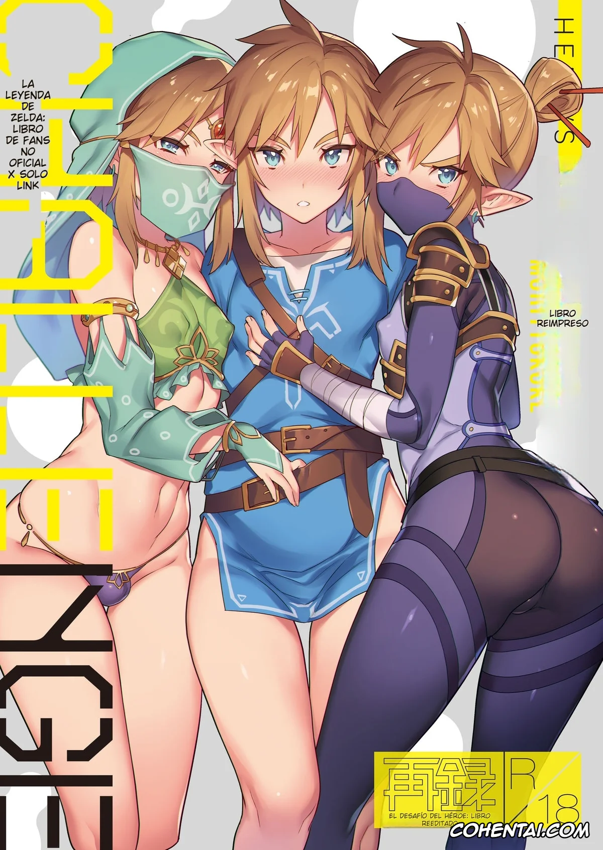 The Legend Of Zelda xxx, Link xxx, Yuusha no Sairokubon Challenge (The Legend of Zelda), pagina 1