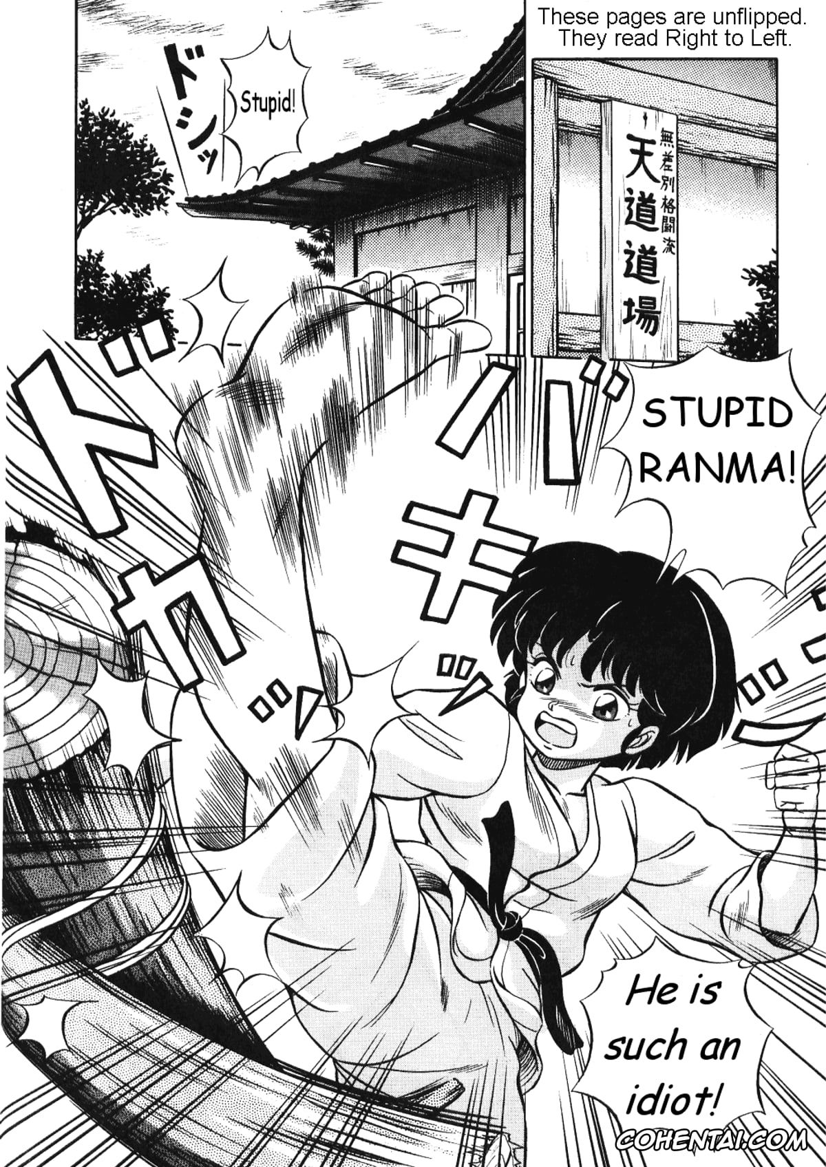 Ranma 1/2 porno, Akane Tendo porno, Nabiki Tendo porno, Ranma Saotome porno, Shampoo porno, Ukyo Kuonji porno, Akane no Baka + Neko wa Kimagure (Ranma 1/2), pagina 2