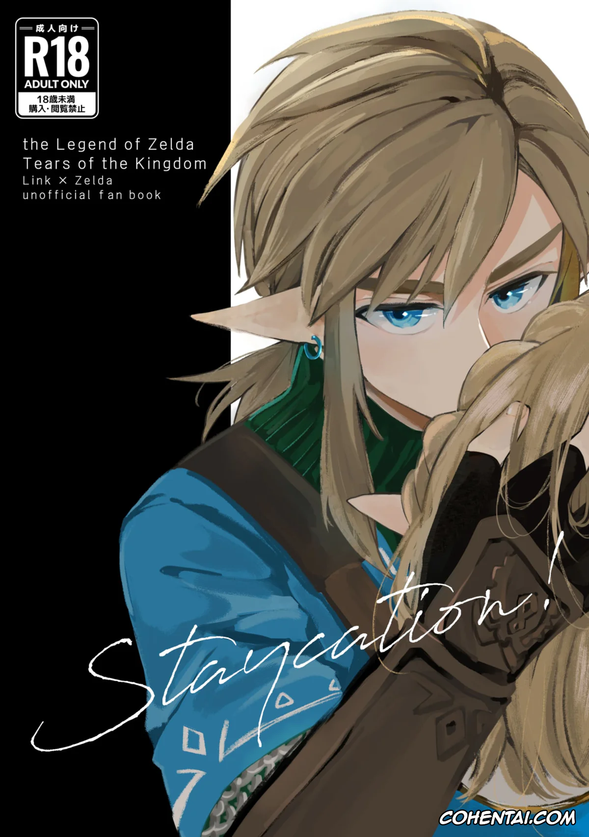 The Legend Of Zelda xxx, Link xxx, Princess Zelda xxx, Staycation! (The Legend of Zelda: Tears of the Kingdom), pagina 1