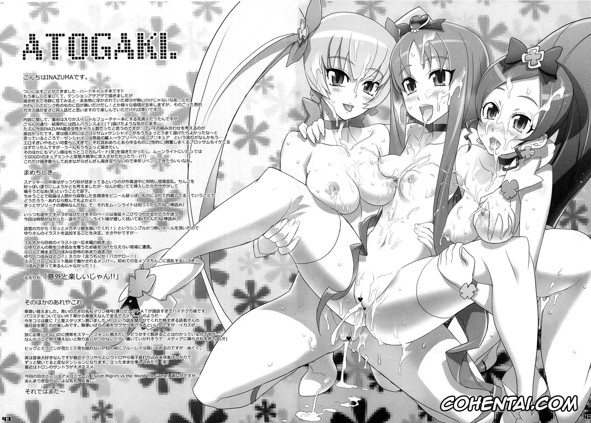 HeartCatch Precure! xxx, Cure Blossom | Tsubomi Hanasaki xxx, Cure Sunshine | Itsuki Myoudouin xxx, INAZUMA SILHOUETTE (HeartCatch Precure!), pagina 43