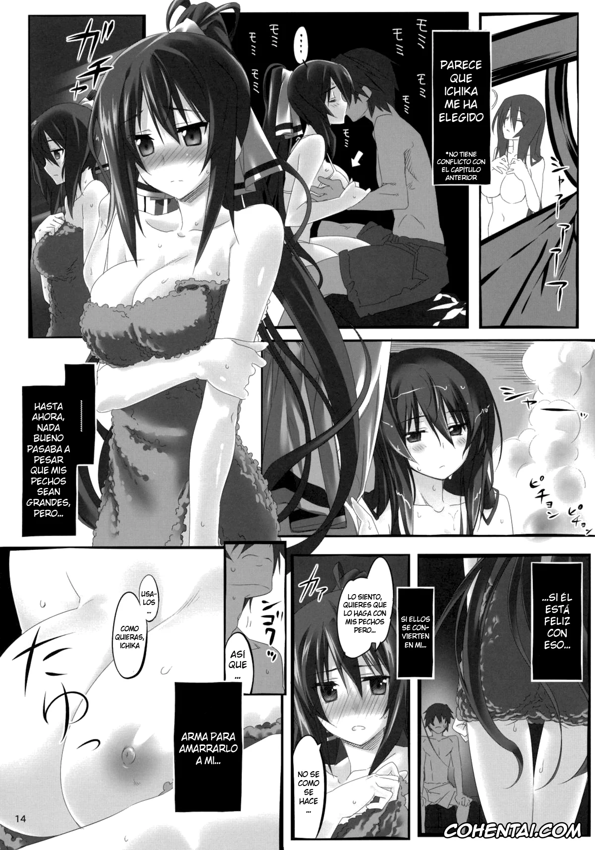Infinite Stratos xxx, Cecilia Alcott xxx, Charlotte Dunois xxx, Houki Shinonono xxx, Ichika Orimura xxx, Yuuzai Shouko Bukken Sangou (Infinite Stratos), pagina 13