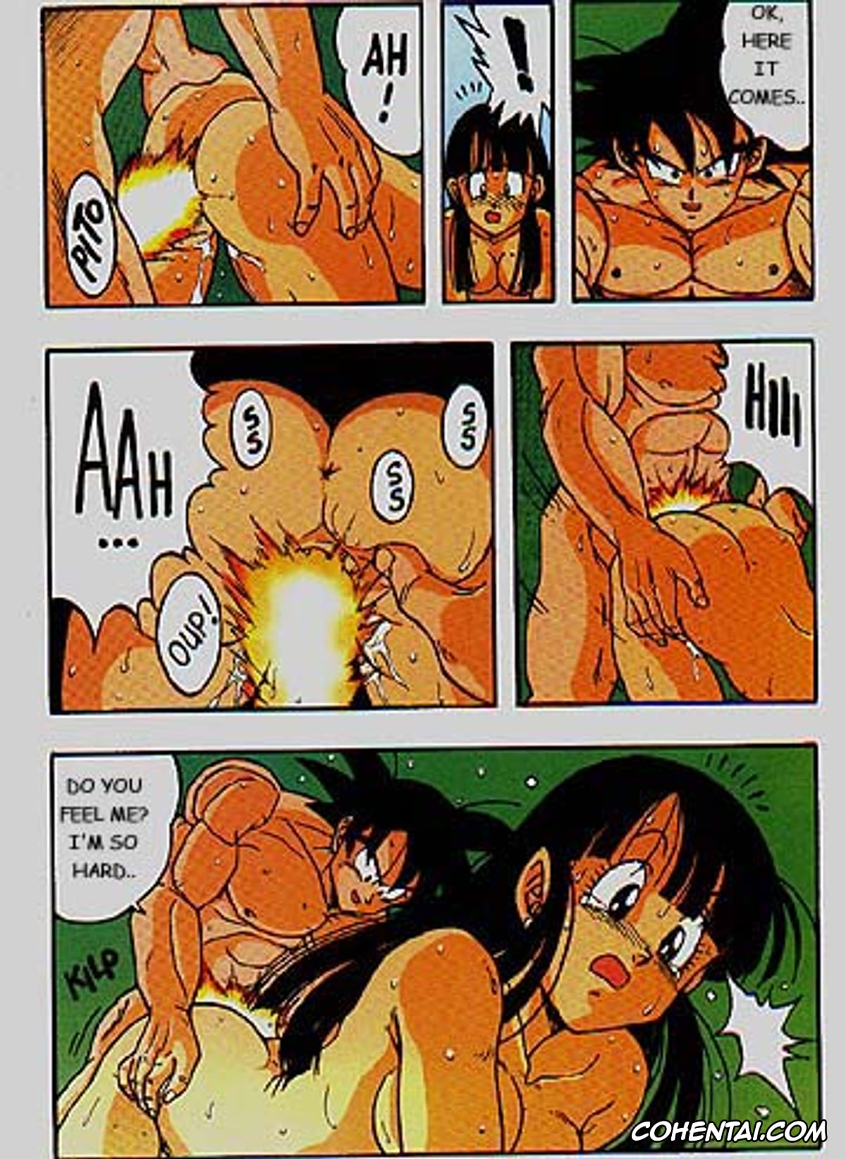 Dragon Ball Z xxx, Chi Chi xxx, Son Goku xxx, D Box Vol. 1 (Dragon Ball), pagina 10