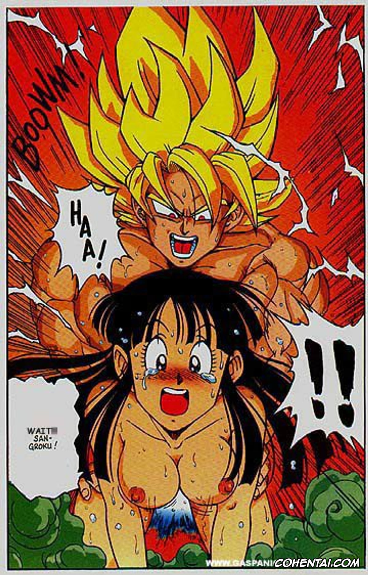 Dragon Ball Z hentai, Chi Chi hentai, Son Goku hentai, D Box Vol. 1 (Dragon Ball), pagina 12
