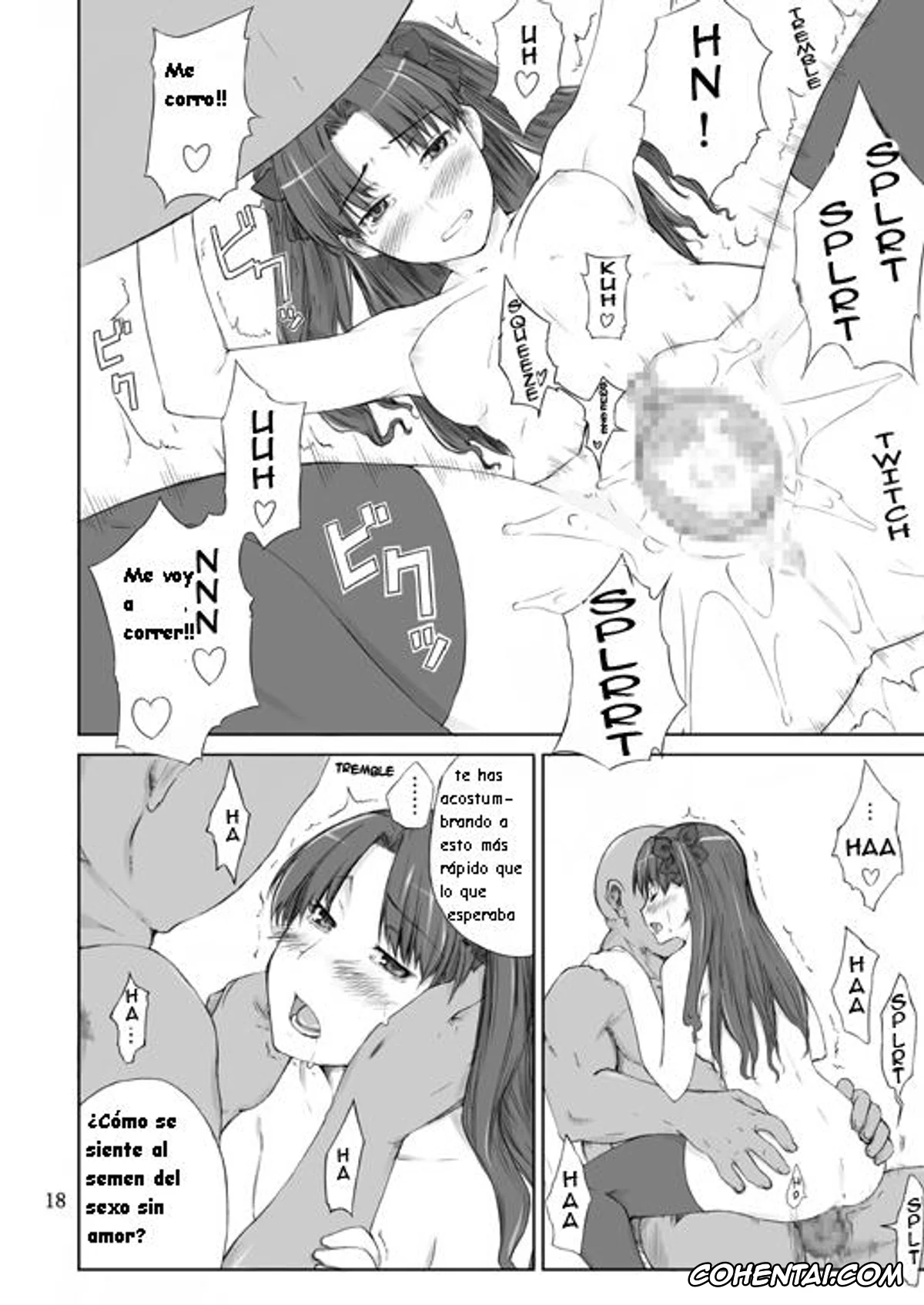 Fate/stay night hentai, Rin Tosaka hentai, Tohsaka-ke no Kakei Jijou (Fate/stay night), pagina 18