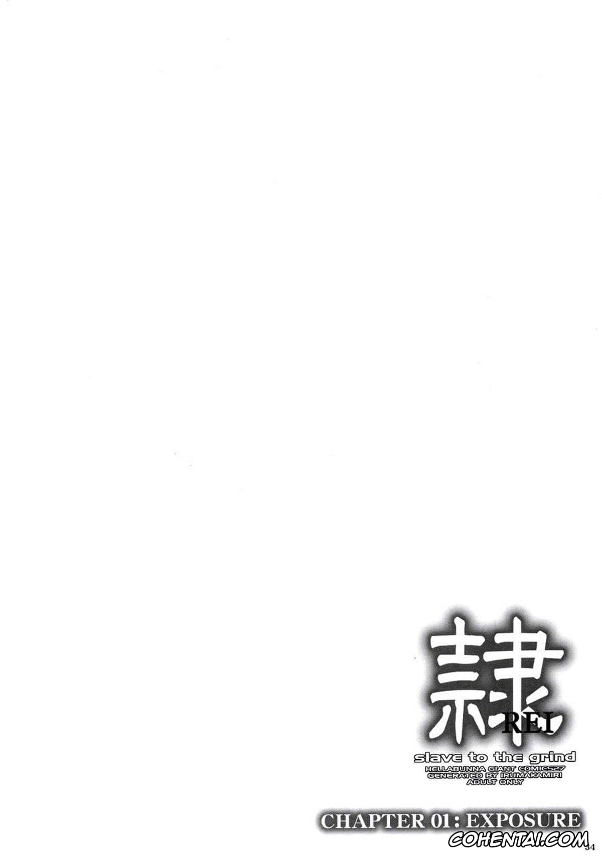 Dead or Alive hentai, Ayane hentai, Kasumi hentai, REI – slave to the grind – CHAPTER 01: EXPOSURE (Dead or Alive), pagina 33