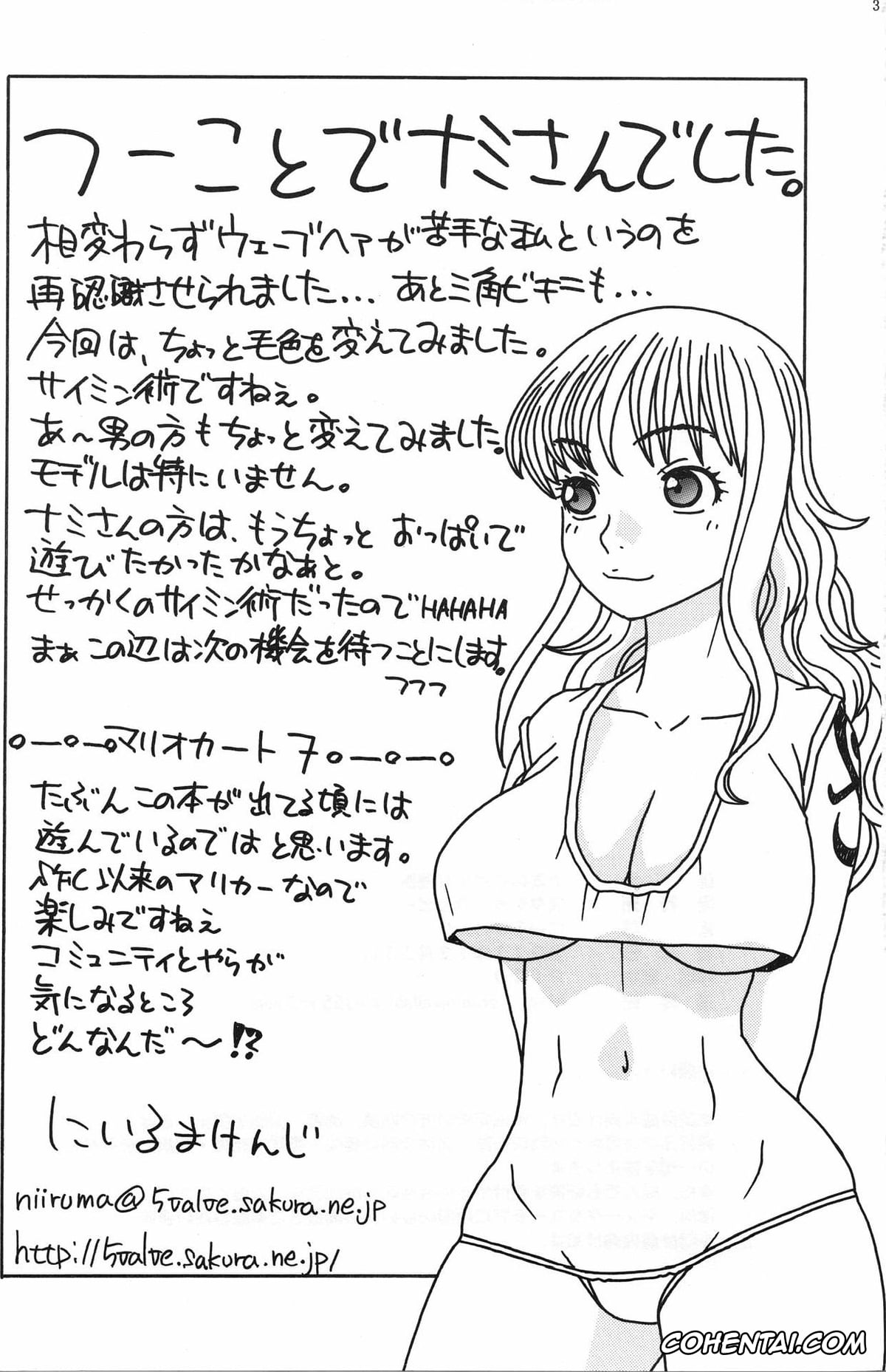 One Piece hentai, Nami hentai, Nami no Iinari Saimin (One Piece), pagina 30