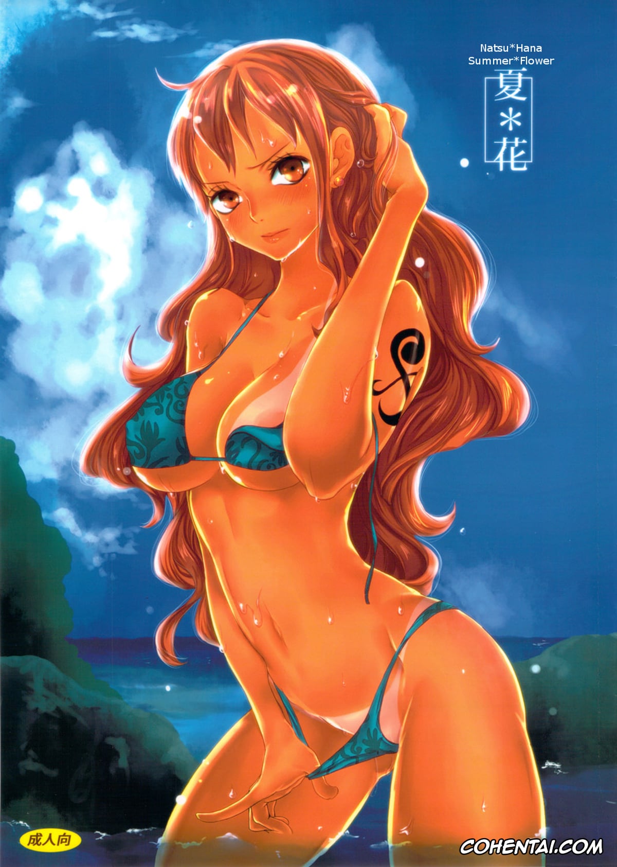 One Piece xxx, Nami xxx, Roronoa Zoro xxx, Sanji Vinsmoke xxx, Natsu * Hana (One Piece), pagina 1