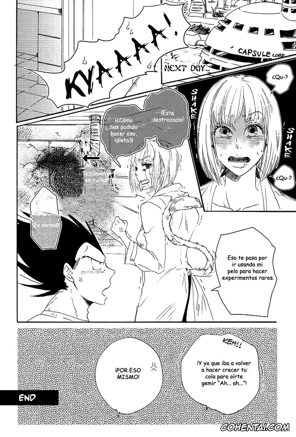 Dragon Ball Z hentai, Bulma Briefs hentai, Vegeta hentai, Shippo, Nohohon. (Dragon Ball Z), pagina 33