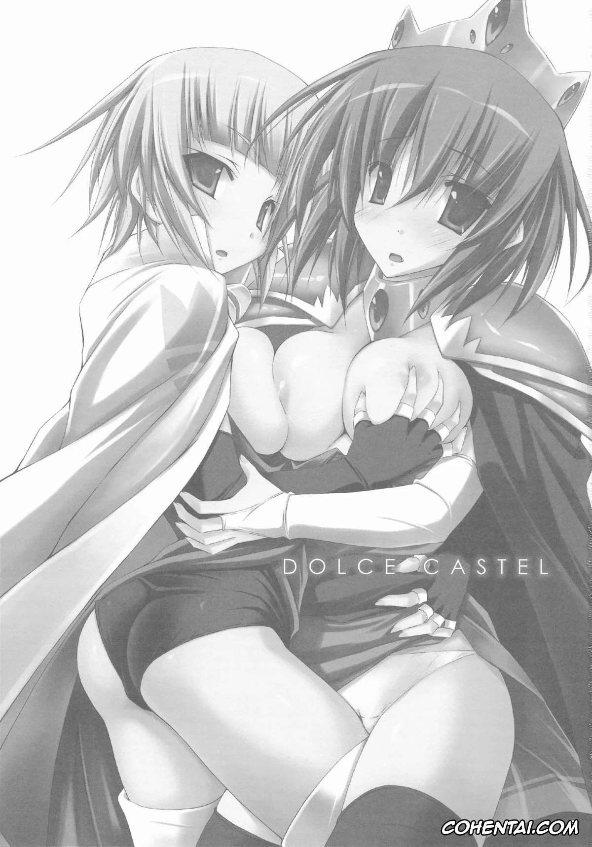 Zero No Tsukaima | The Familiar Of Zero hentai, Agnes Chevalier De Milan hentai, Henrietta de Tristain hentai, DOLCE CASTEL (Zero no Tsukaima), pagina 3