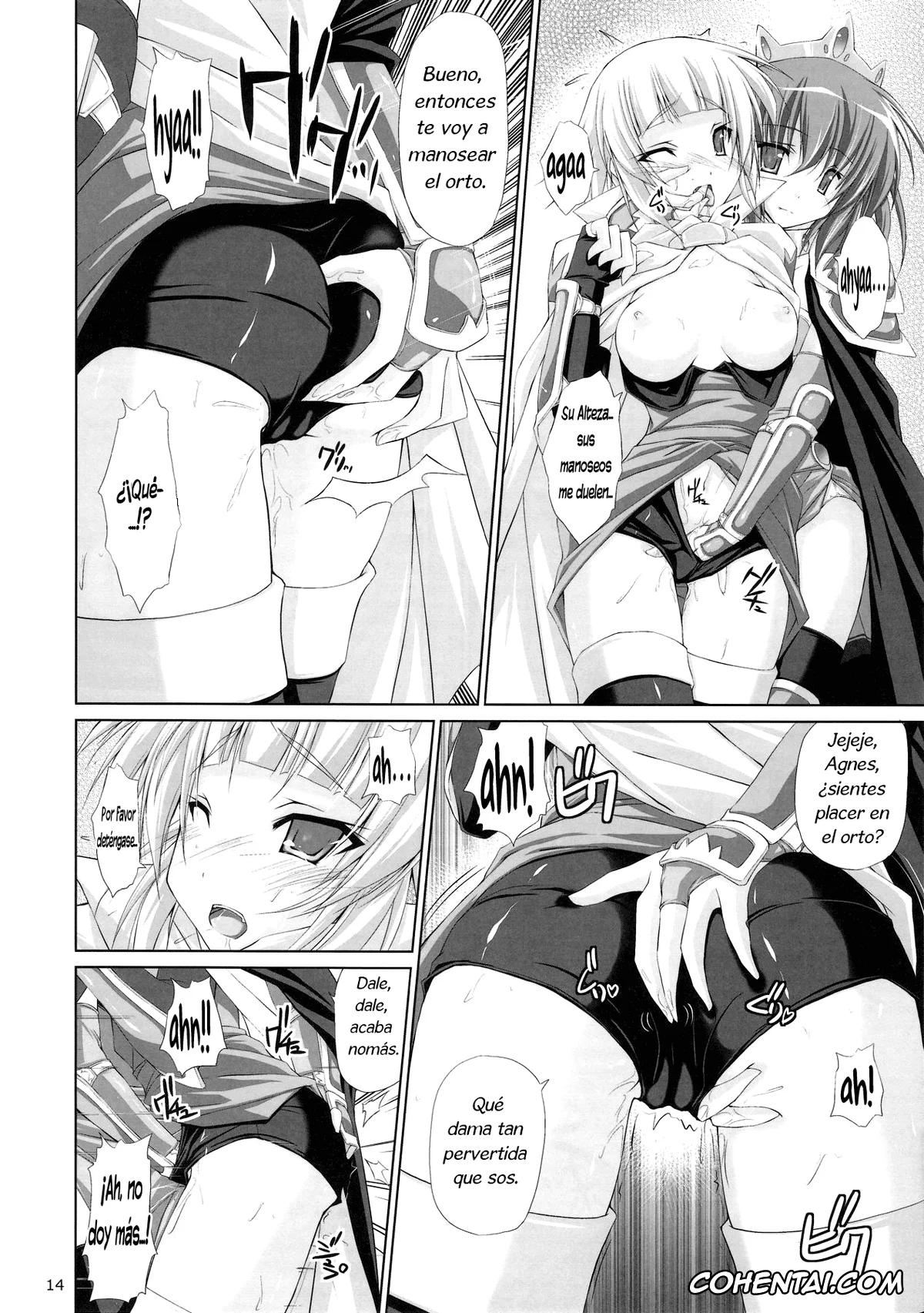 Zero No Tsukaima | The Familiar Of Zero porno, Agnes Chevalier De Milan porno, Henrietta de Tristain porno, DOLCE CASTEL (Zero no Tsukaima), pagina 14
