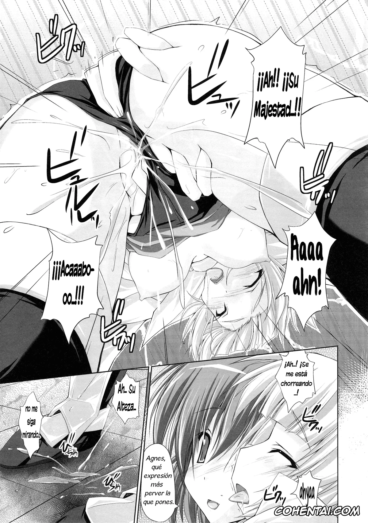 Zero No Tsukaima | The Familiar Of Zero hentai, Agnes Chevalier De Milan hentai, Henrietta de Tristain hentai, DOLCE CASTEL (Zero no Tsukaima), pagina 15