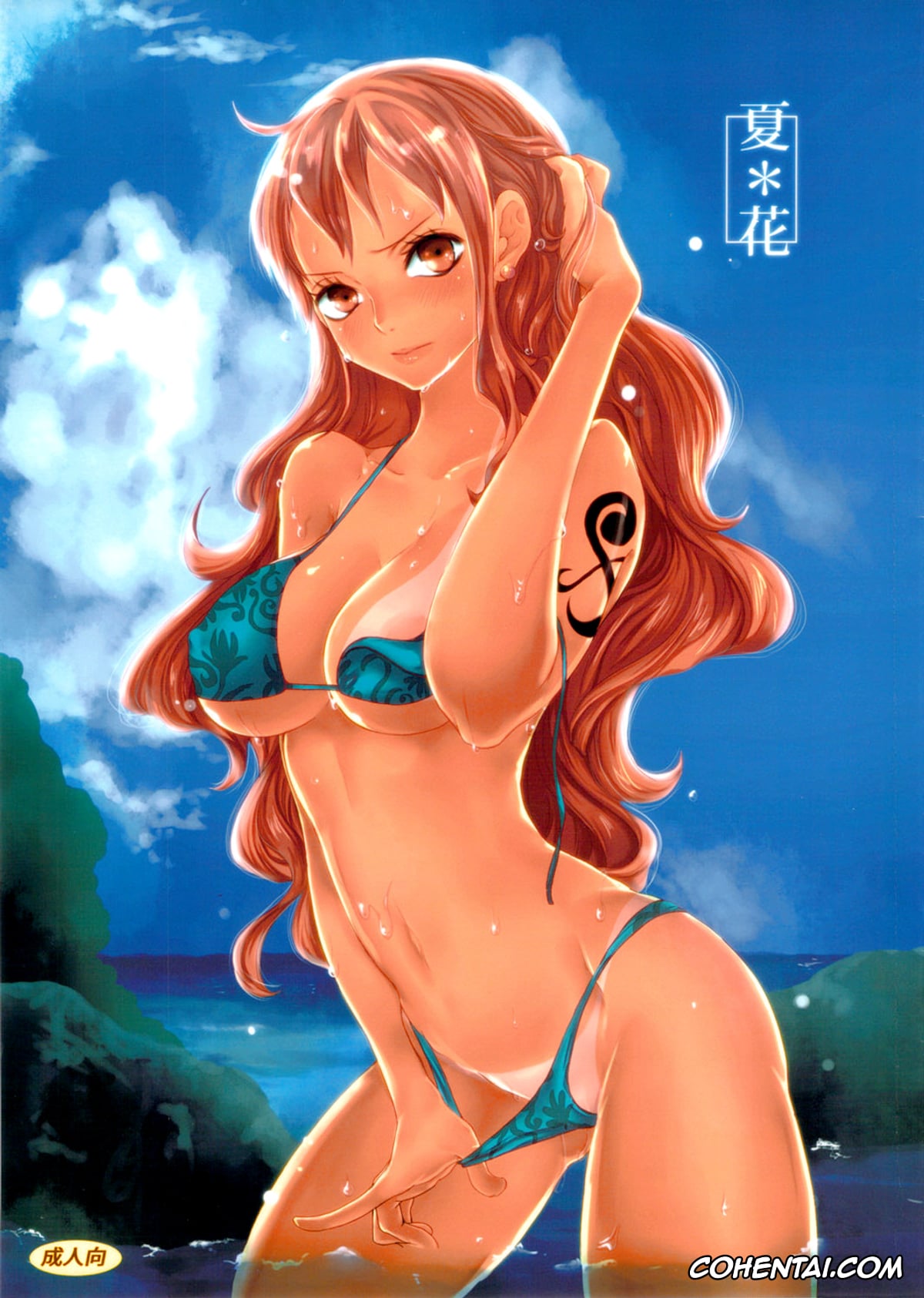 One Piece xxx, Nami xxx, Roronoa Zoro xxx, Sanji Vinsmoke xxx, Natsu * Hana (One Piece), pagina 1